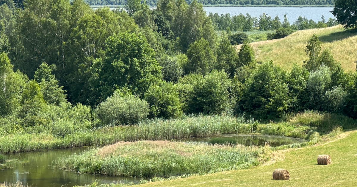 Ruszają konsultacje strategii ochrony mokradeł w Polsce
