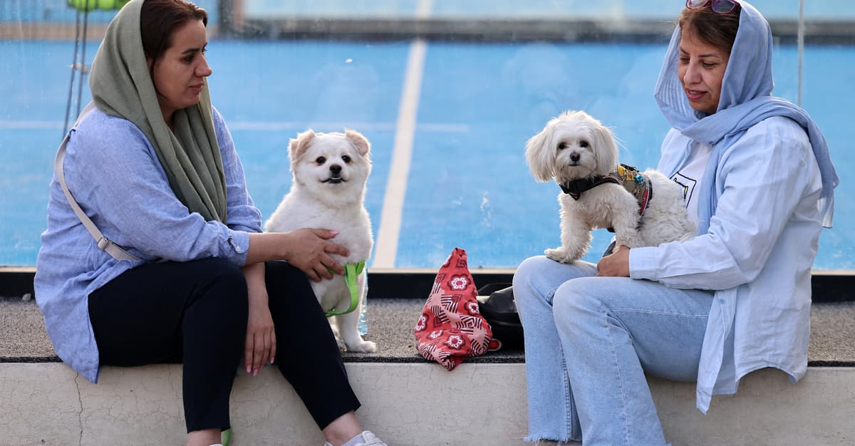 Z psem nie wyjdziesz na spacer w kilkunastu irańskich miastach