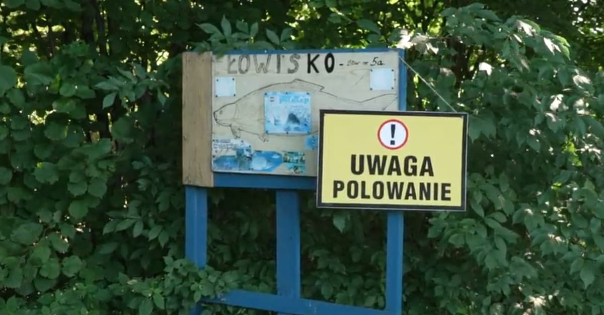 Straż Łowiecka bezradna wobec myśliwych. Komu na tym zależy?