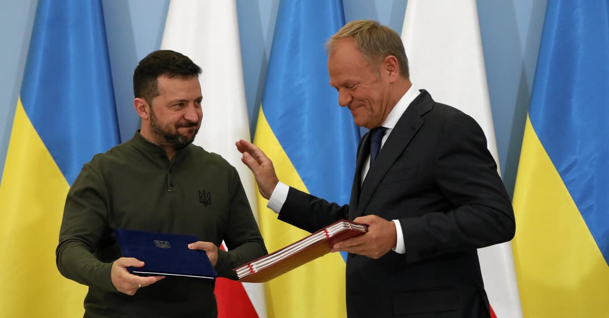 Wojna orderowa to błąd. Ważna jest przyszłość, potrzebny sojusz Polski i Ukrainy [WIDZĘ TO TAK]