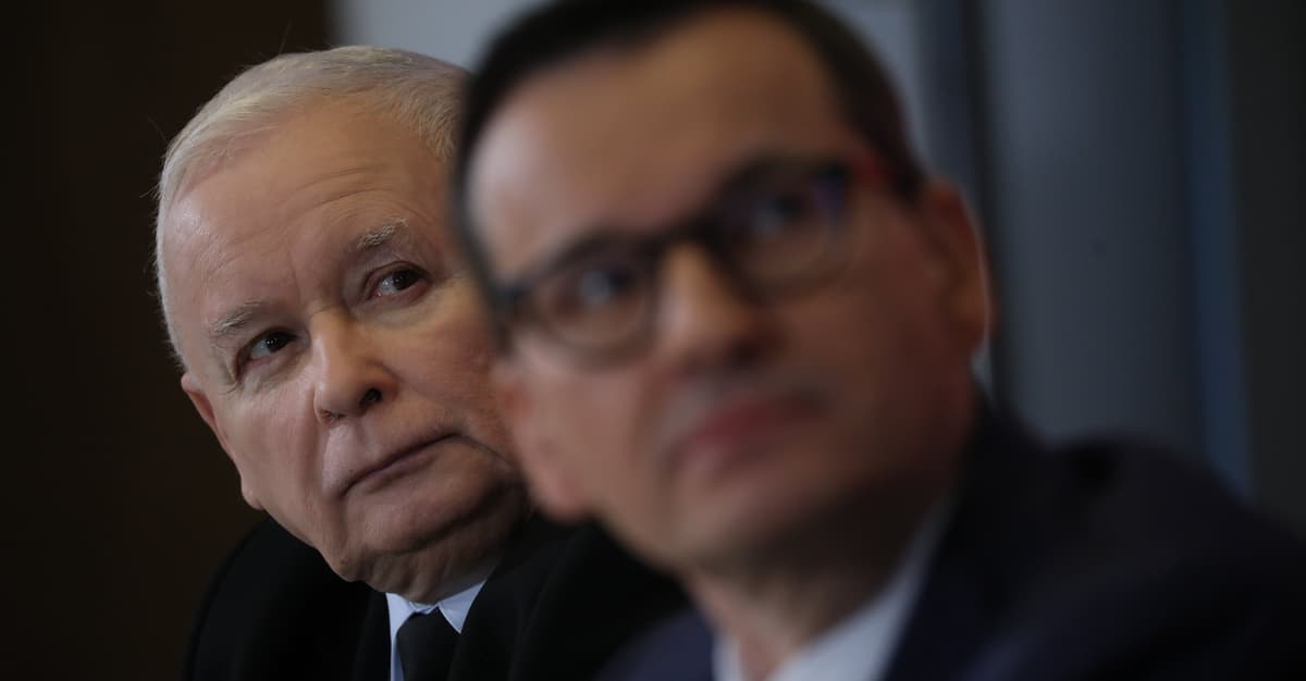 Zabić Morawieckiego, czyli jatka w PiS. Badamy, o co w tym wszystkim chodzi