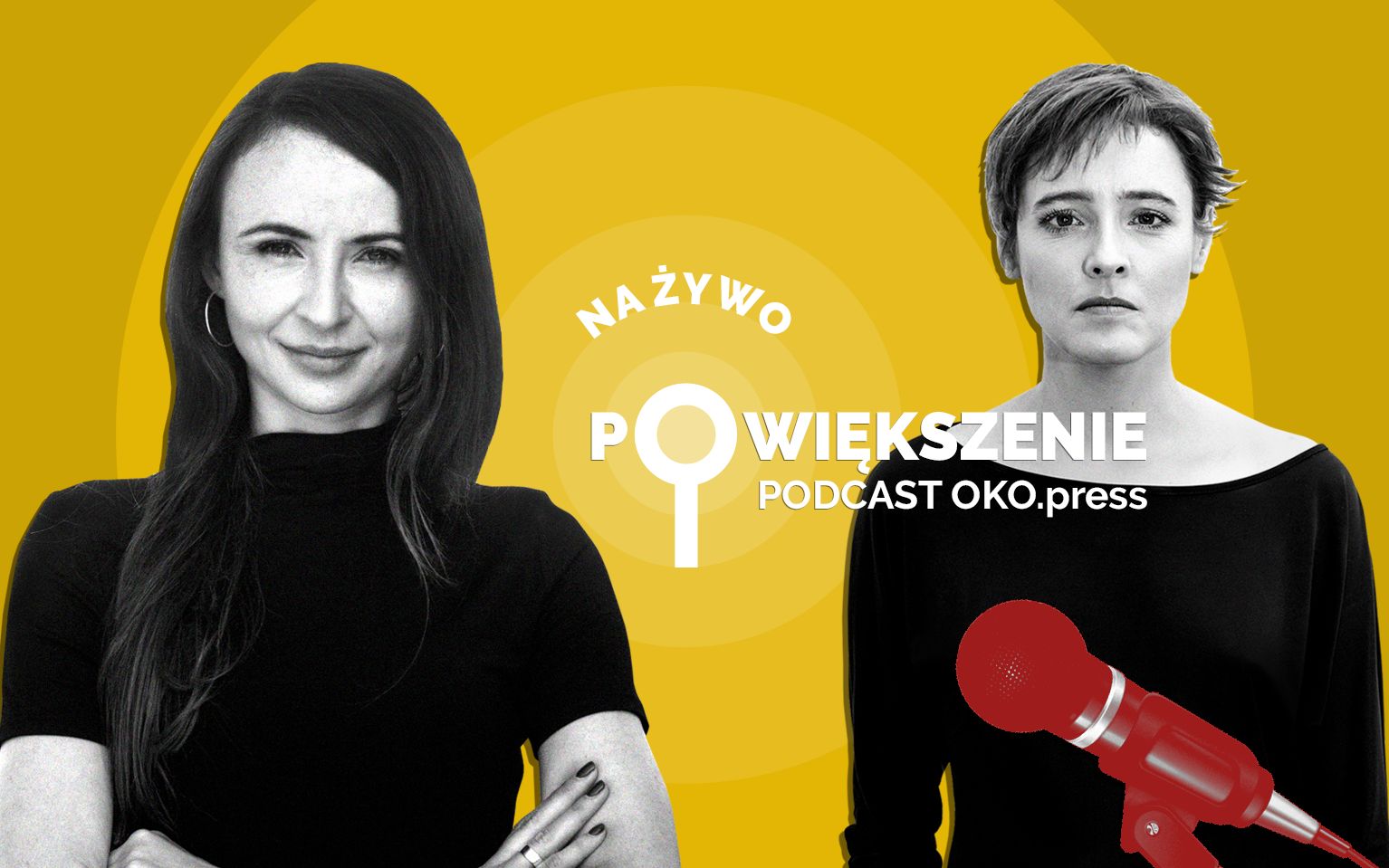 Grafika do artykułu "To legalizacja torturowania kobiet". Dziemianowicz-Bąk o zakazie aborcji [POWIĘKSZENIE LIVE]