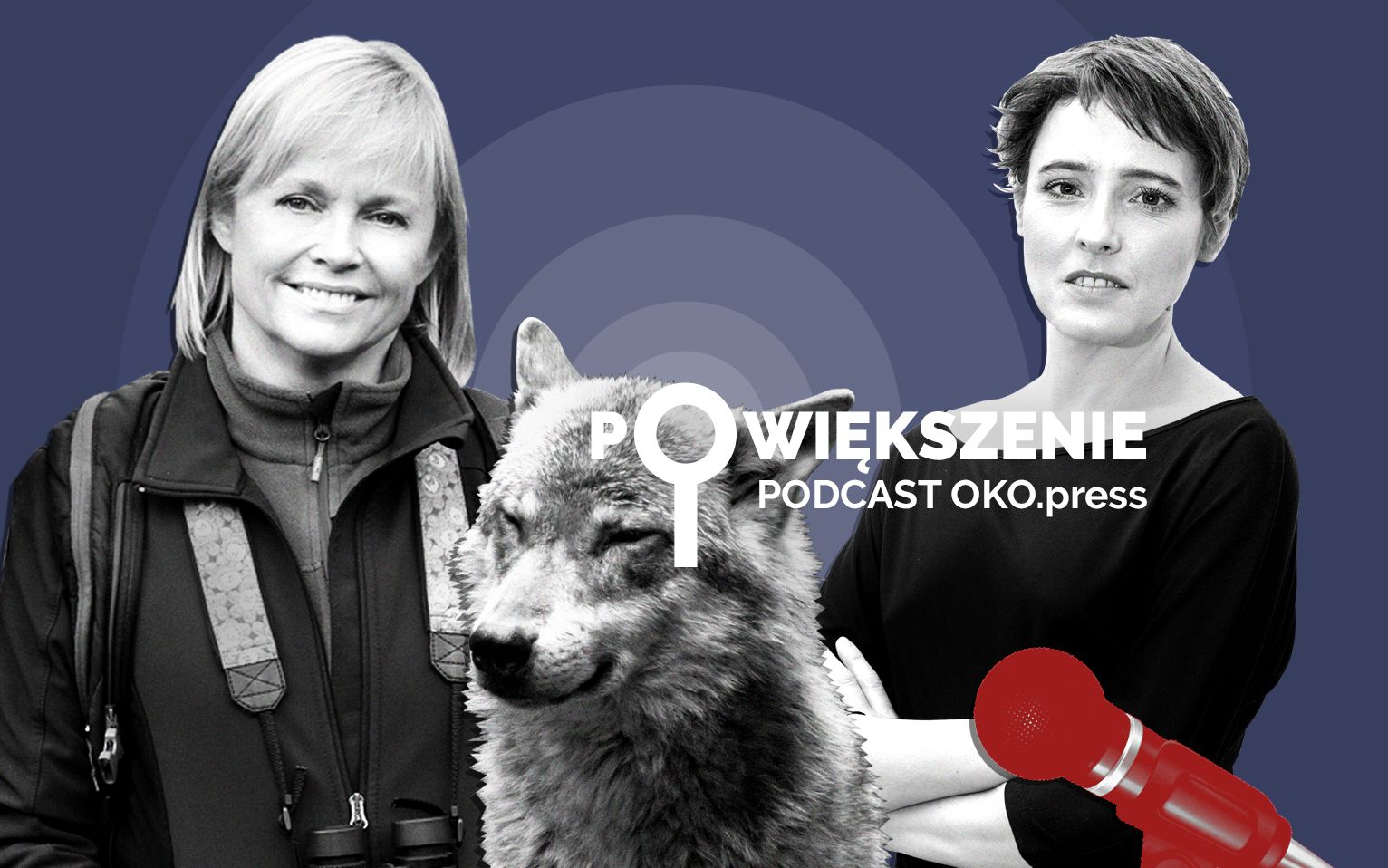 Grafika do artykułu Wilk był dla człowieka konkurencją. 30 tysięcy lat temu [POWIĘKSZENIE]