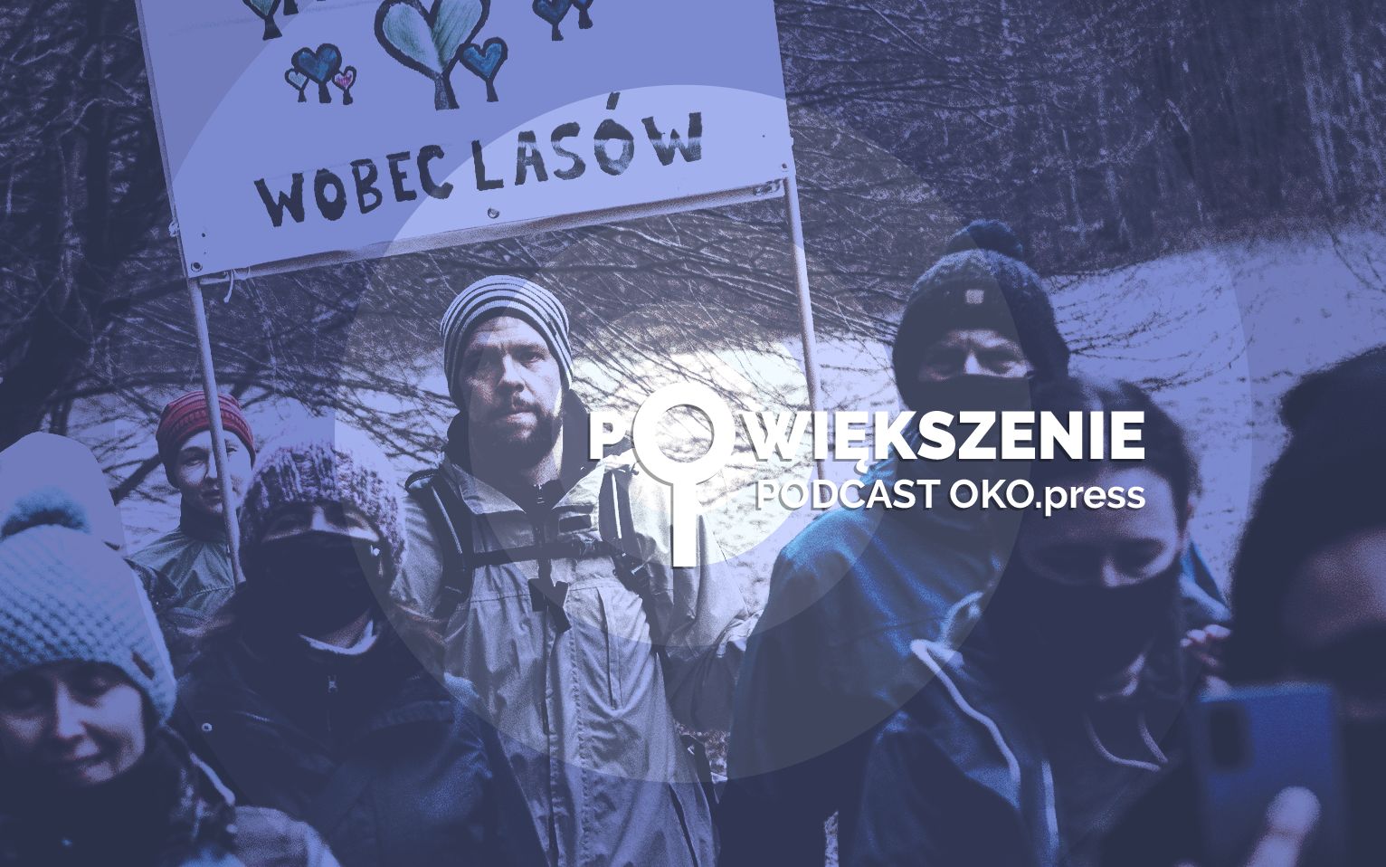 Grafika do artykułu Wycinają mi las. Co mam zrobić? [POWIĘKSZENIE LIVE]