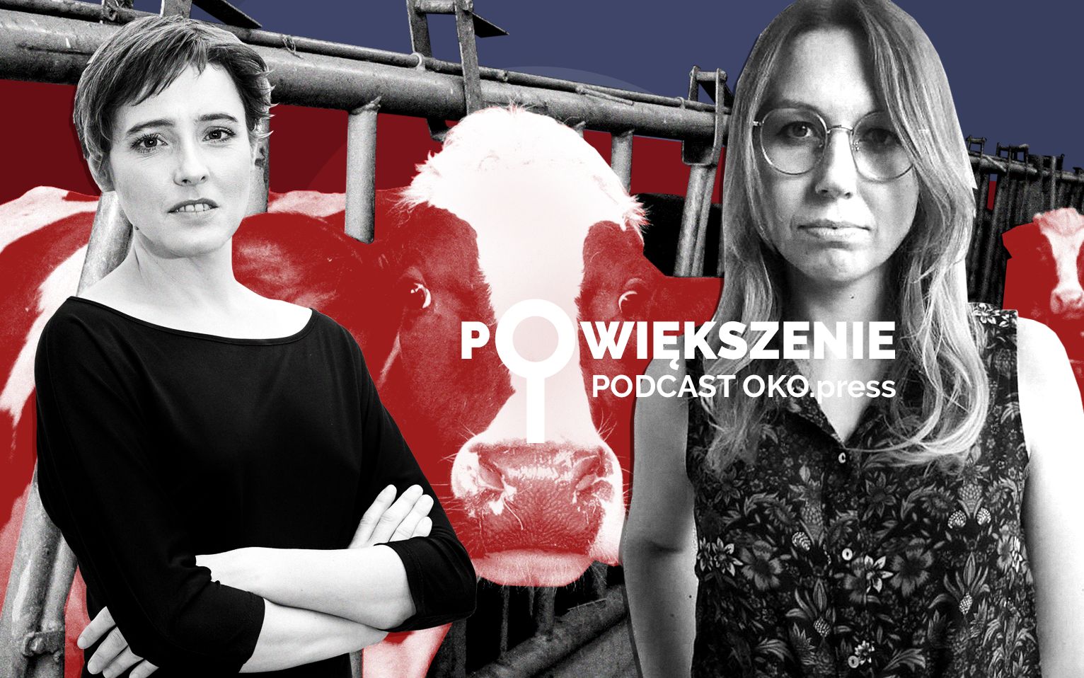 Grafika do artykułu Cierpienie zwierząt. Nie klikniesz, prawda? Ja też nie [POWIĘKSZENIE]
