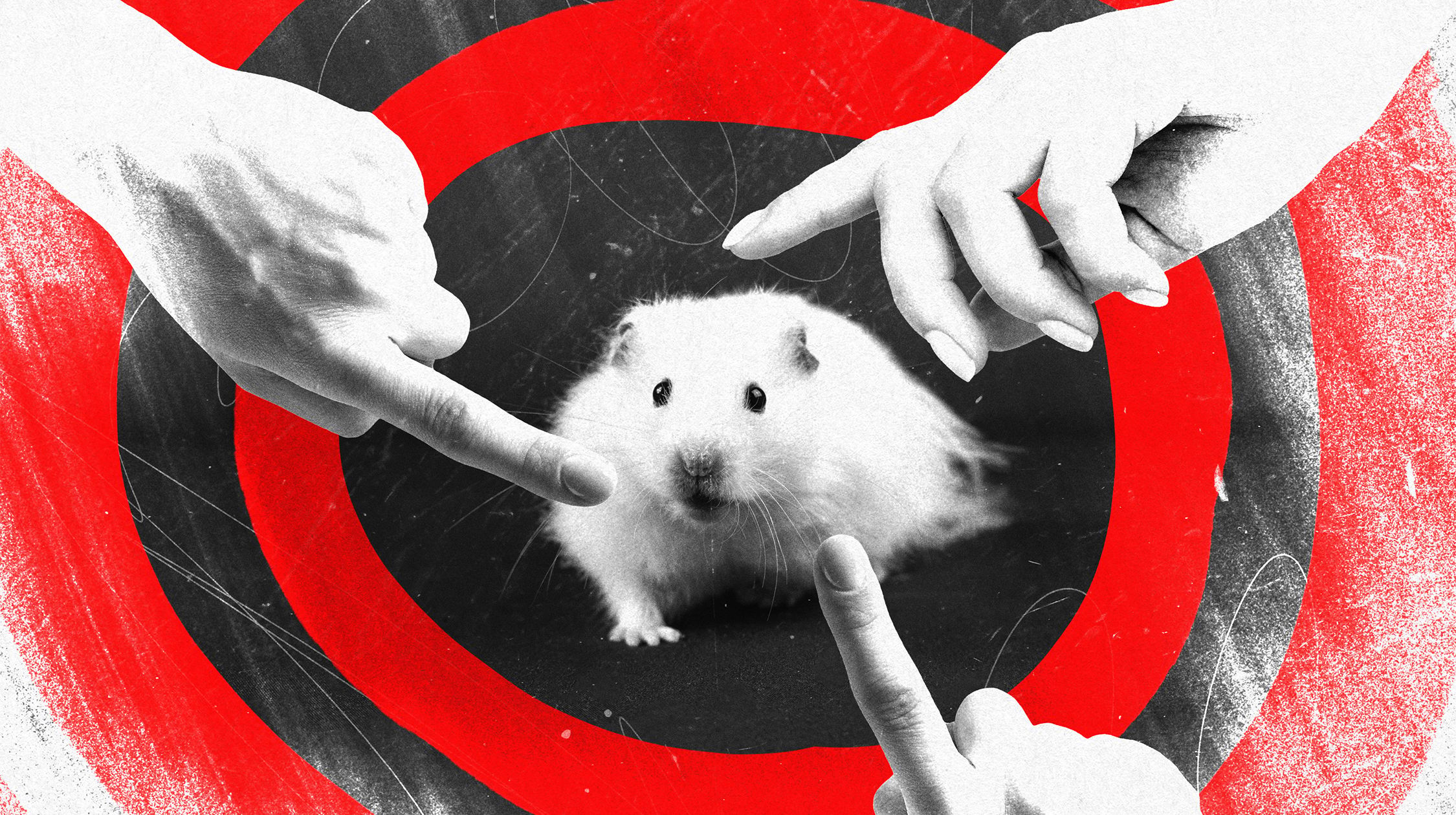 Grafika: Chomik w środku czerwonej spirali. Z boków rysunku wystają trzy ręce z wysuniętymi palcami wskazującymi - jakby groziły chomikowi.
