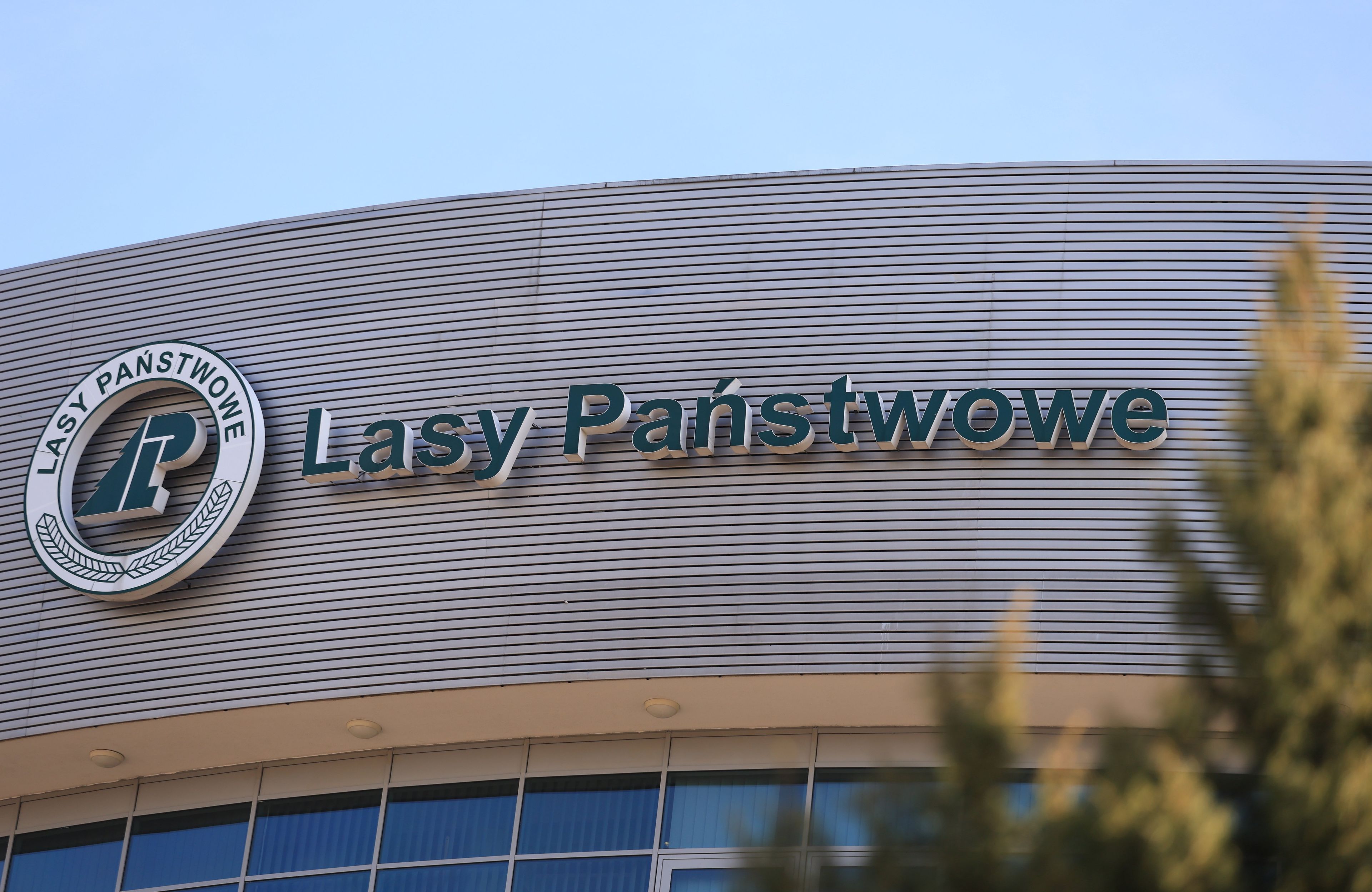 logo lasów państwowych na budynku lp