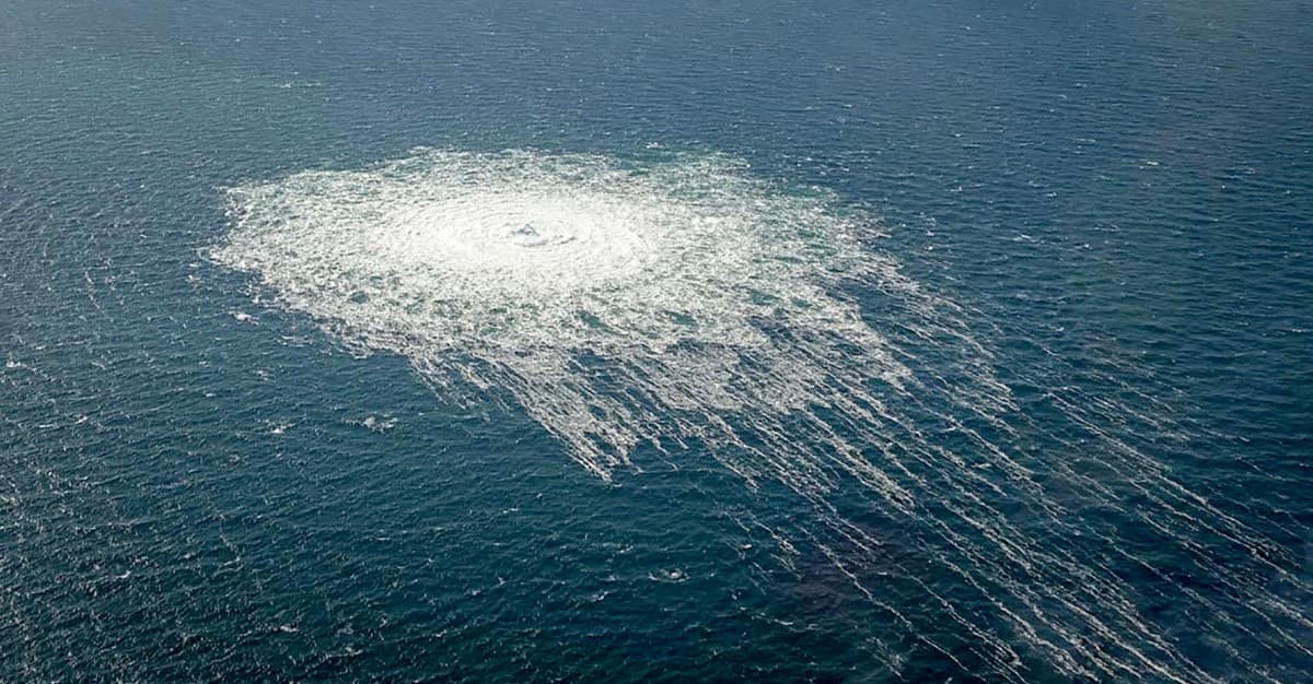 Podejrzany o wysadzenie Nord Stream w stanie krytycznym. Głoduje