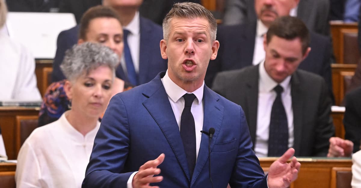 Magyar: nowy prezydent Węgier do 20 sierpnia