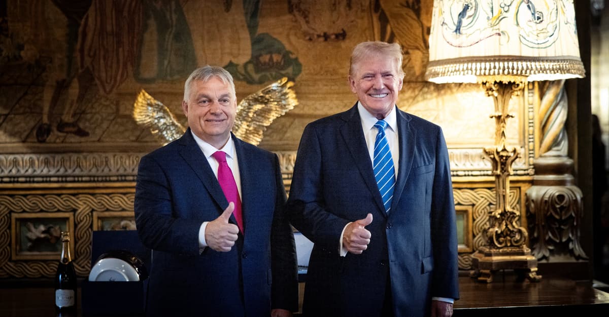 Trump o imporcie ropy z Rosji: „Szokujący!”. Ale kupują jego bliscy przyjaciele