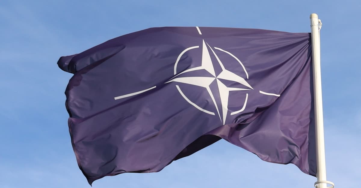 8 państw NATO solidarnie z Danią i Grenlandią. Oświadczenie po groźbach Trumpa