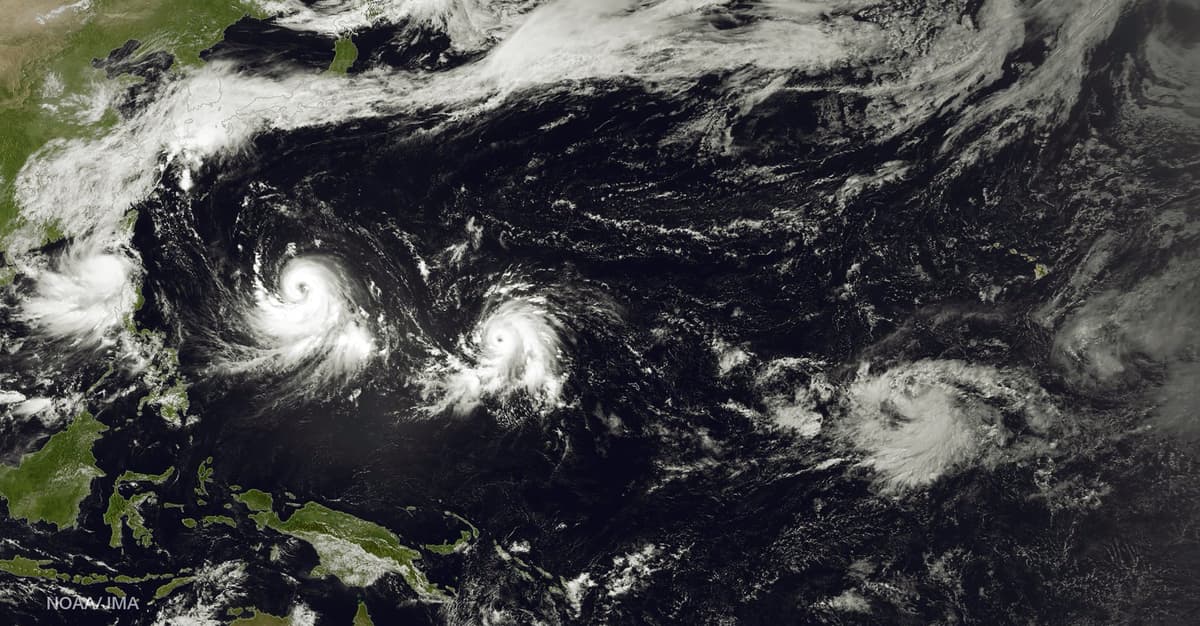 3 000 mil oceanicznej żeglugi, czyli pożytki z gapienia się na chmury [ROZMOWA]