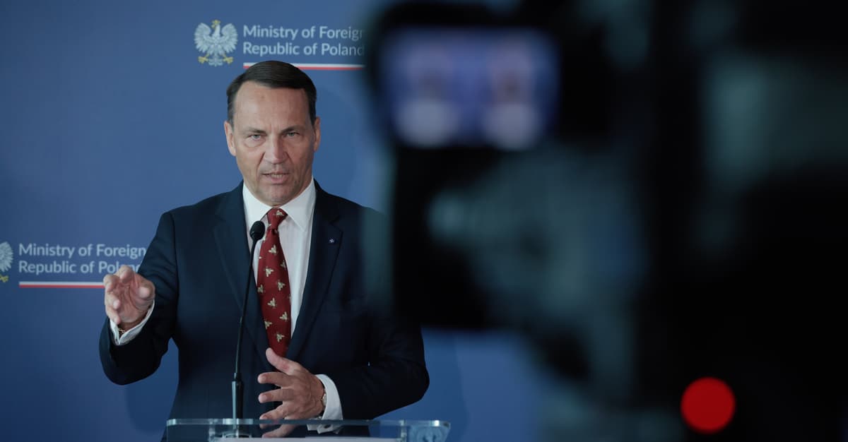 Sikorski: Bąkiewicz wypełnia definicję faszyzmu