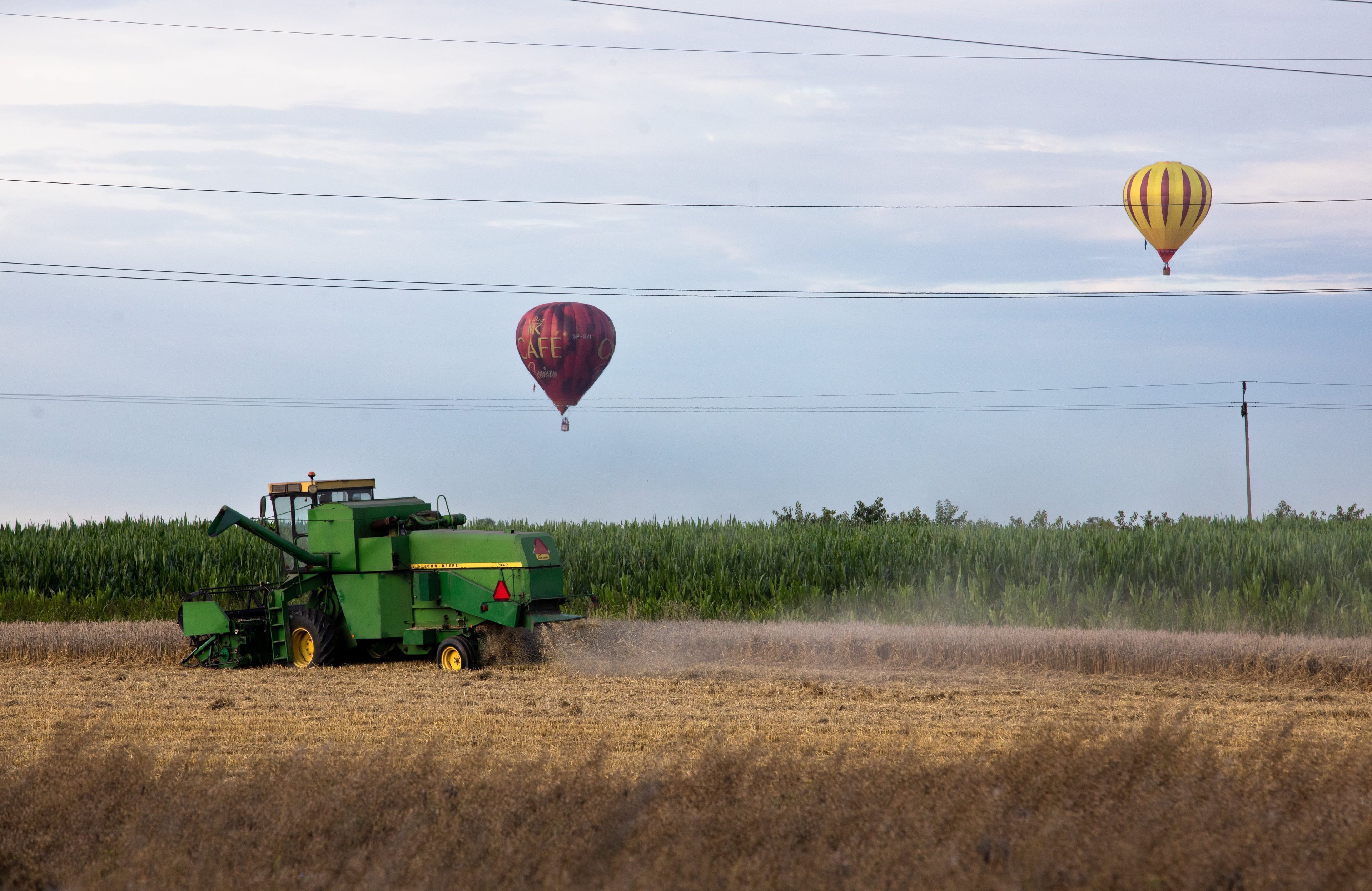 żniwa, a w tle balony
