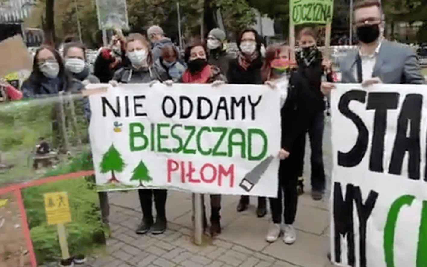 Grafika do artykułu Przeciwko wycince w Puszczy Karpackiej. Protesty w 16 miastach