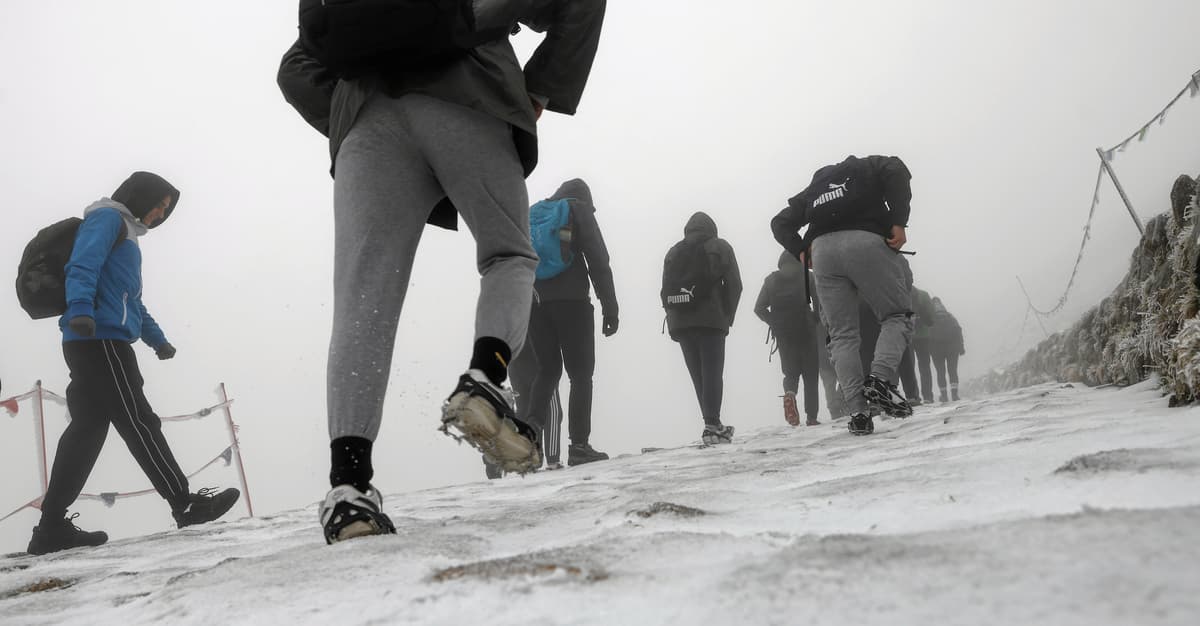 Asystencja osobista do żmudnej poprawy. Nasze państwo wybrało się w klapkach na Kasprowy