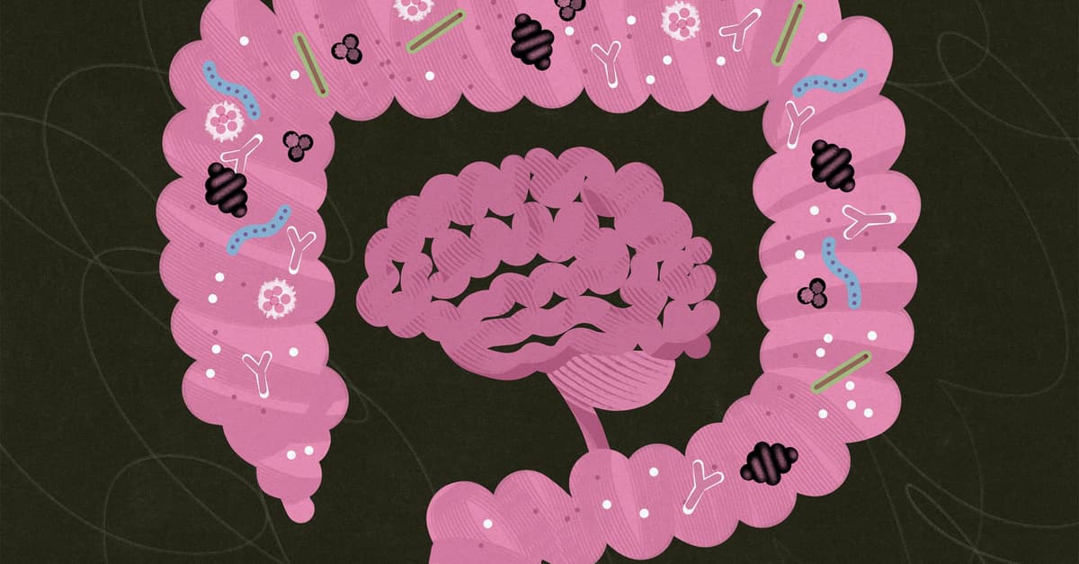 Głowa pełna bakterii. Jak jelita komunikują się z mózgiem – i co z tego wynika dla zdrowia psychicznego
