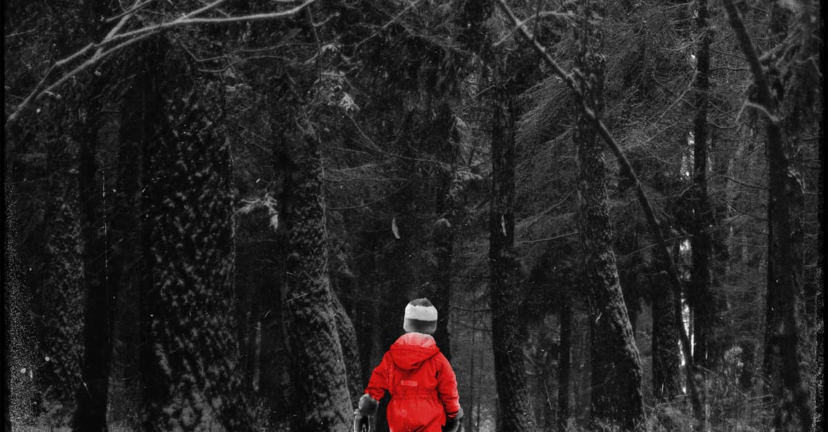 Wyrzucą. Do lasu, jak śmieci. Wszystkich. Dorosłych i dzieci. Tak będzie? Tak było?