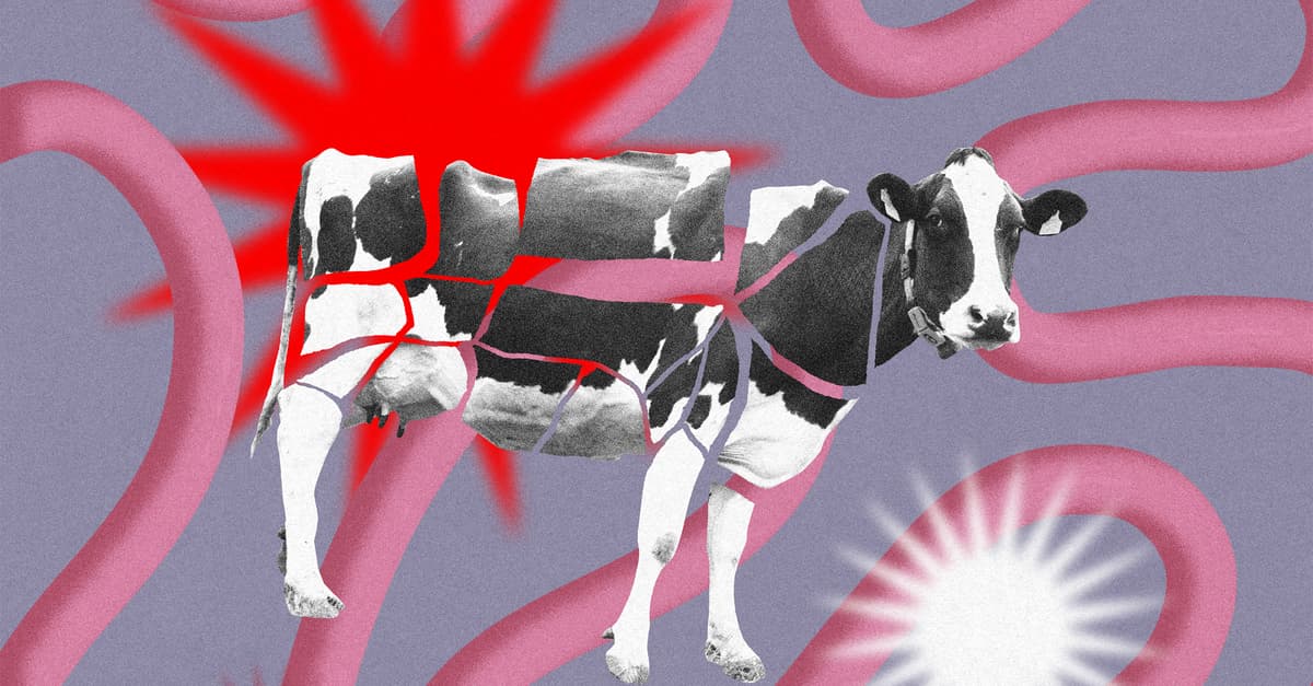 Czy mięso sprzyja nowotworom? Bez wątpienia