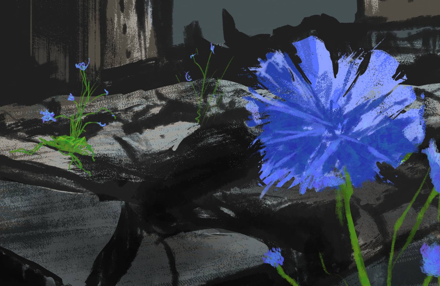 ilustracja przedstawia kwiat cykorii na tle ruin miasta