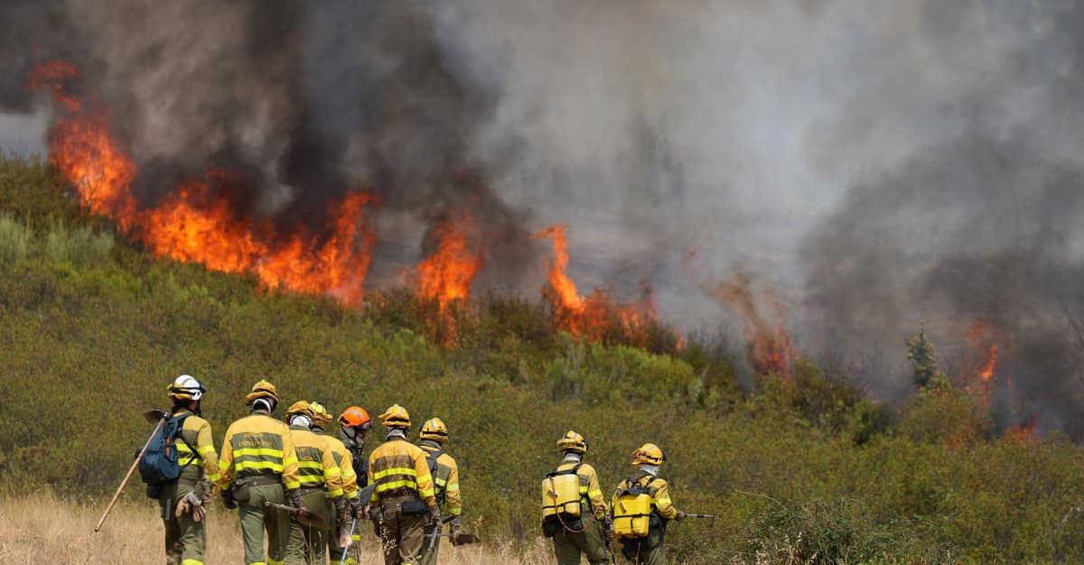 Katastrofa klimatyczna u wrót Europy. Pożary niszczą Hiszpanię