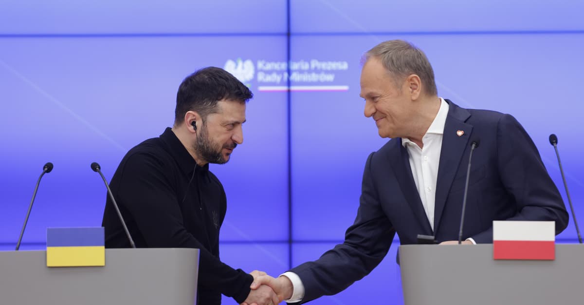 Polscy żołnierze będą się uczyć od ukraińskiej armii zwalczania dronów