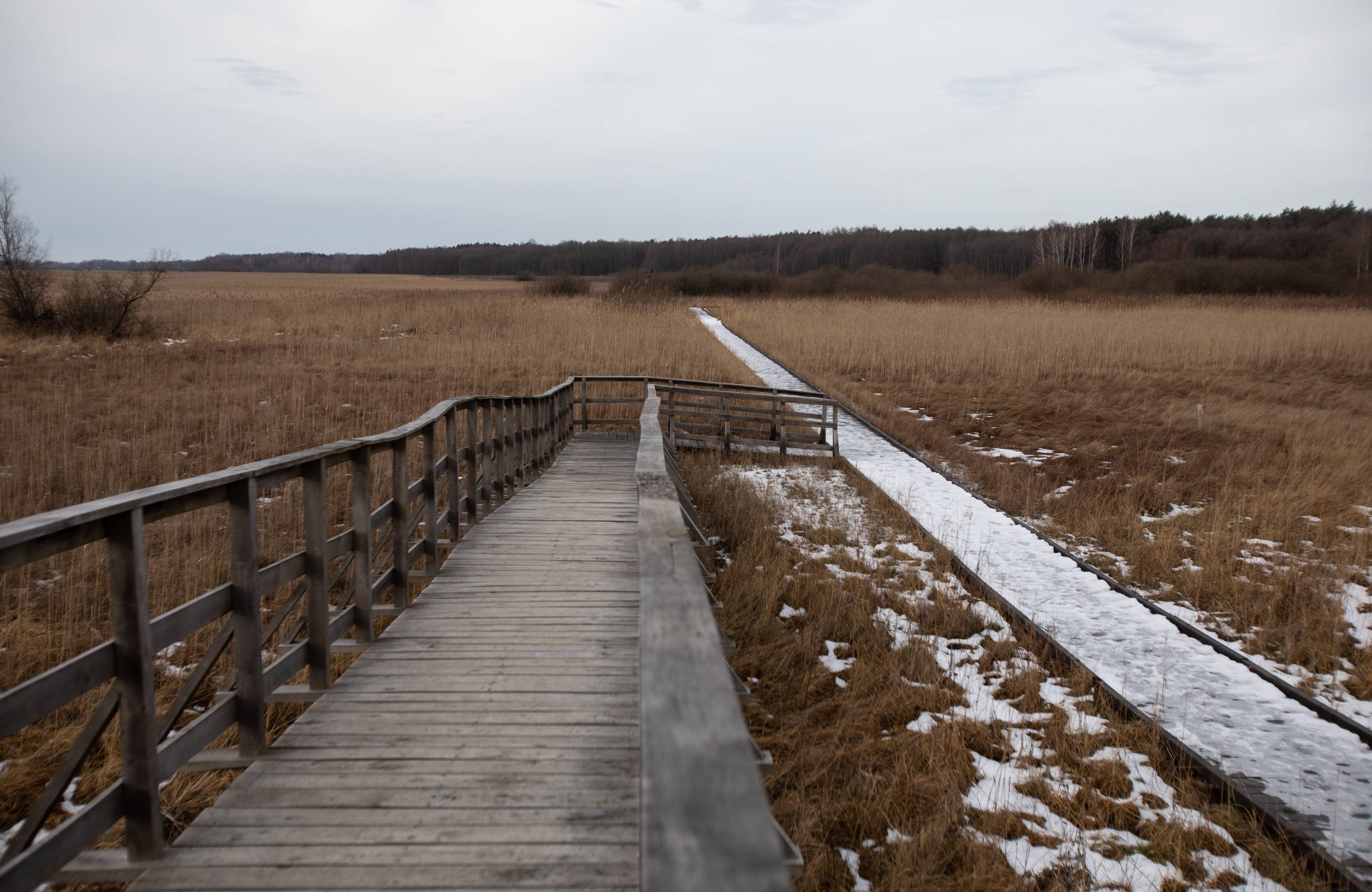 Poleski Park narodowy