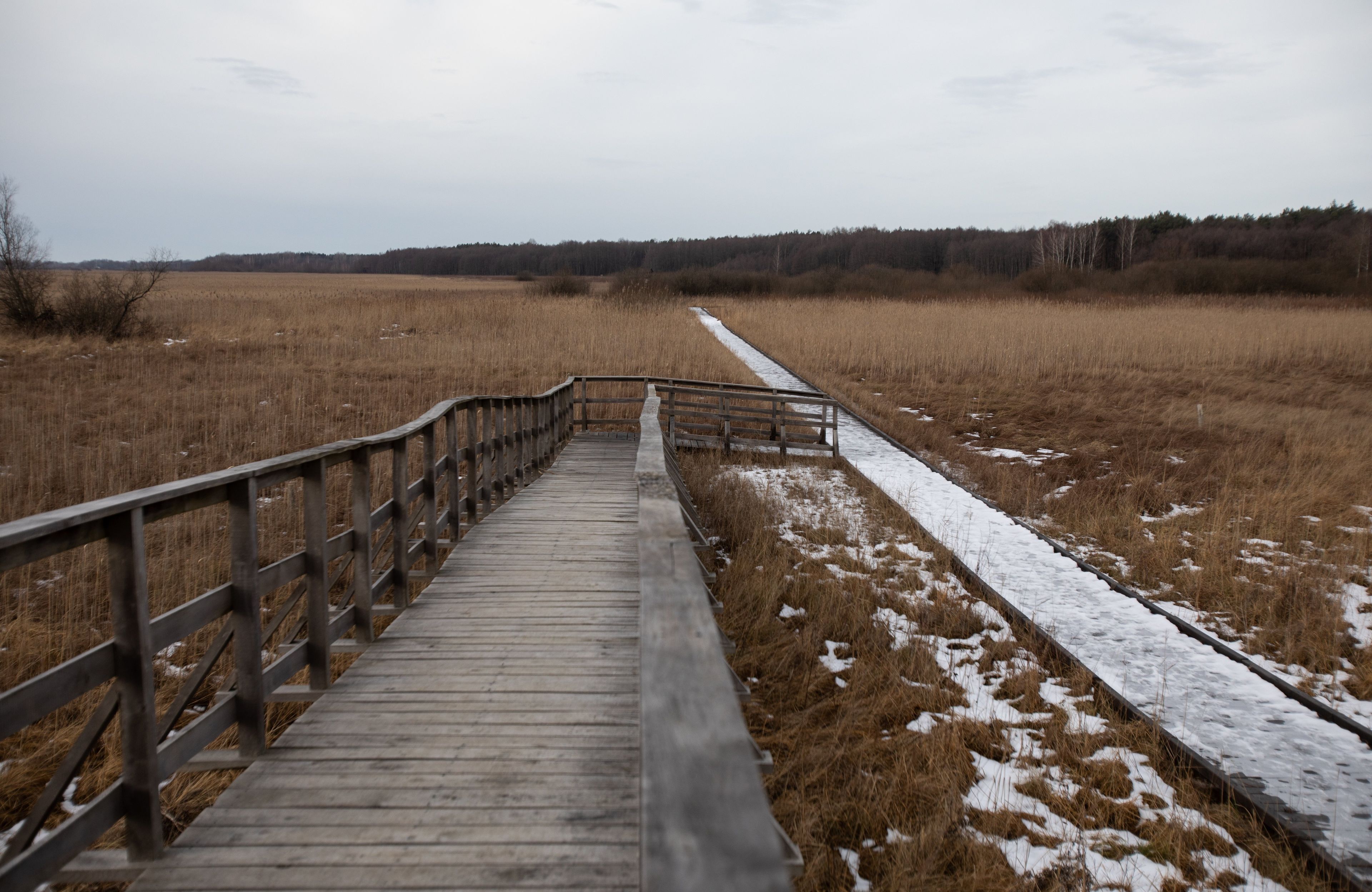 Poleski Park narodowy