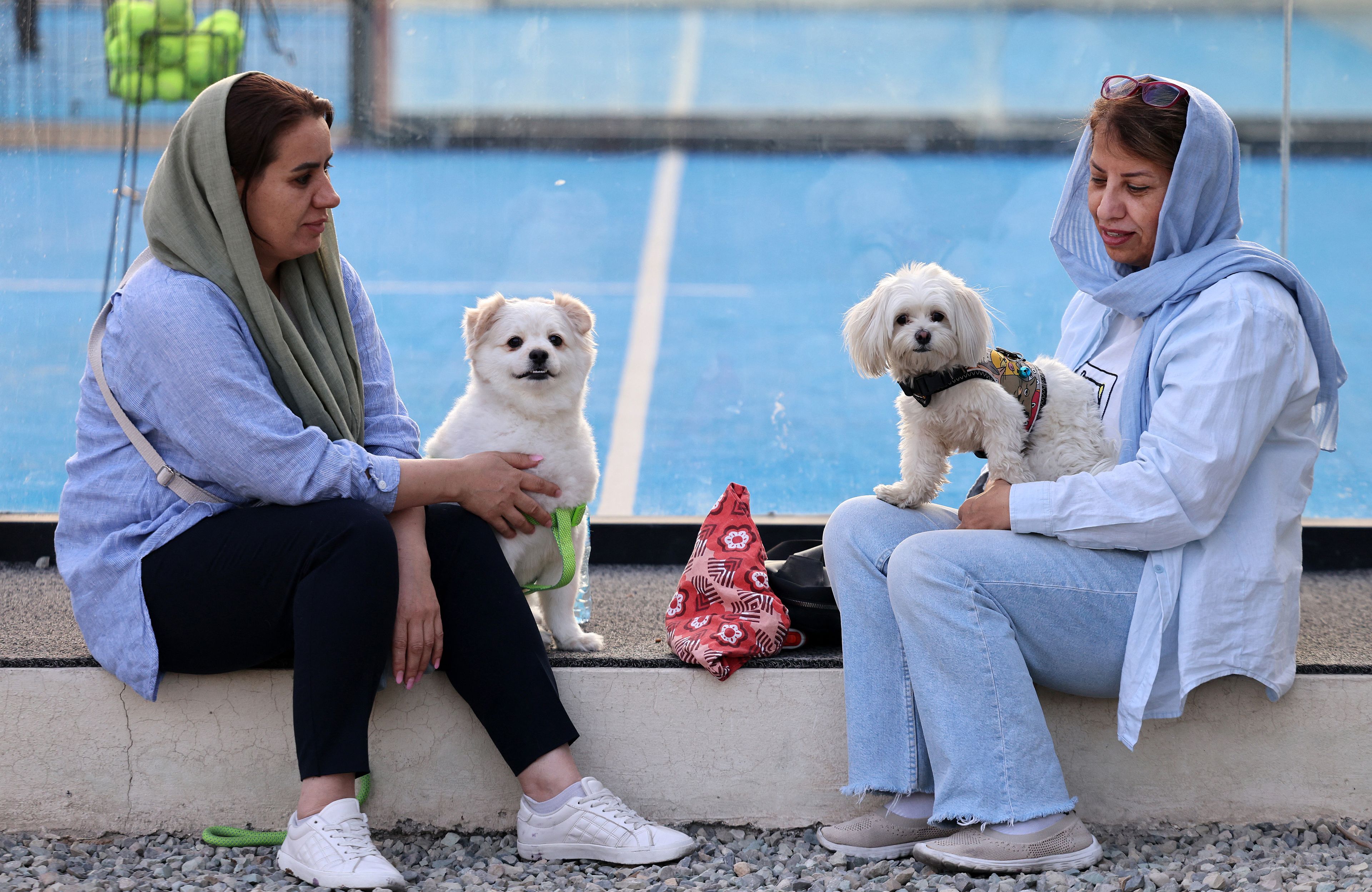 IRAN-ANIMAL-DOG-BAN