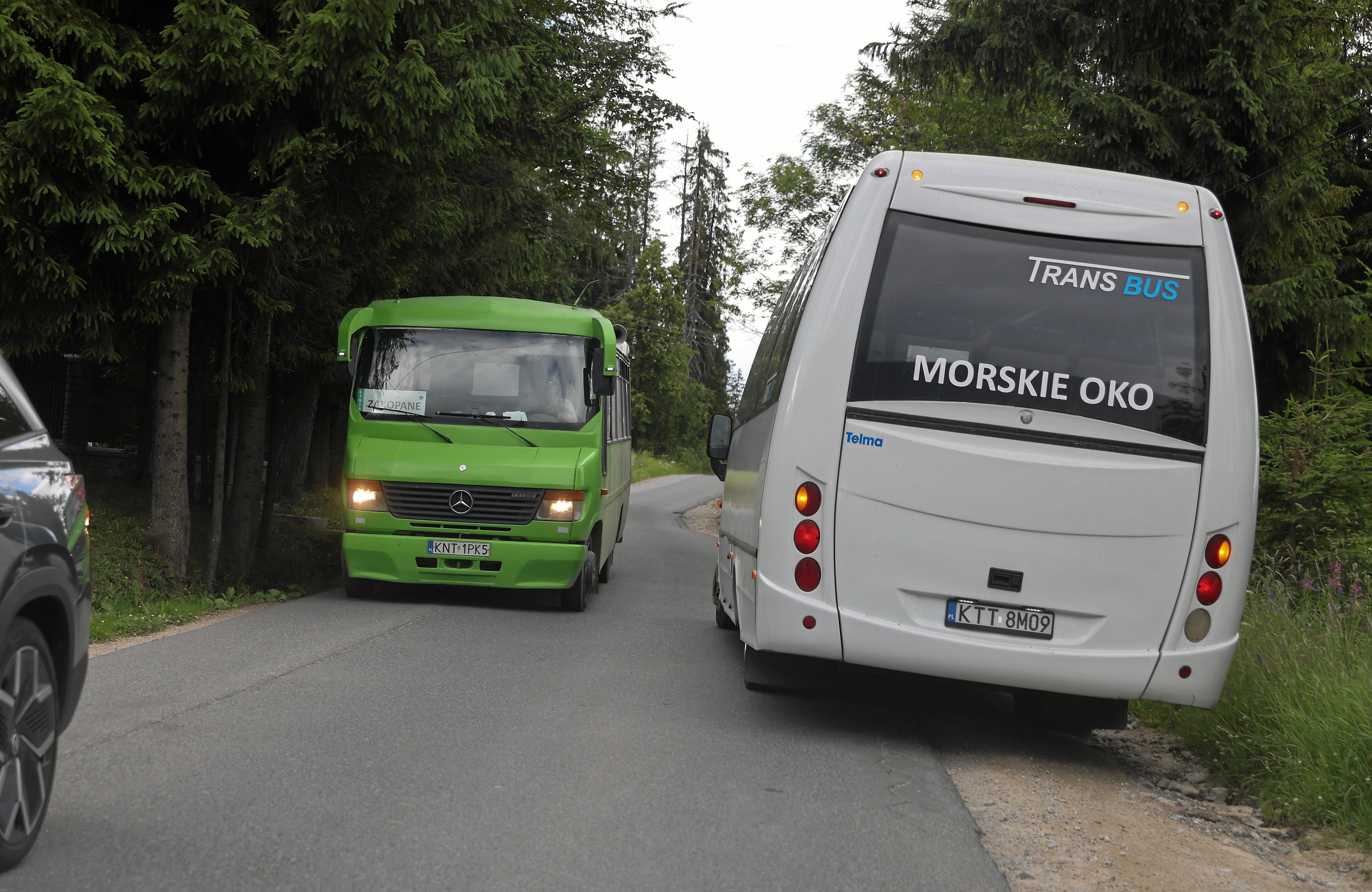 dwa busy próbują minąć się na wąskiej drodze wśród lasu