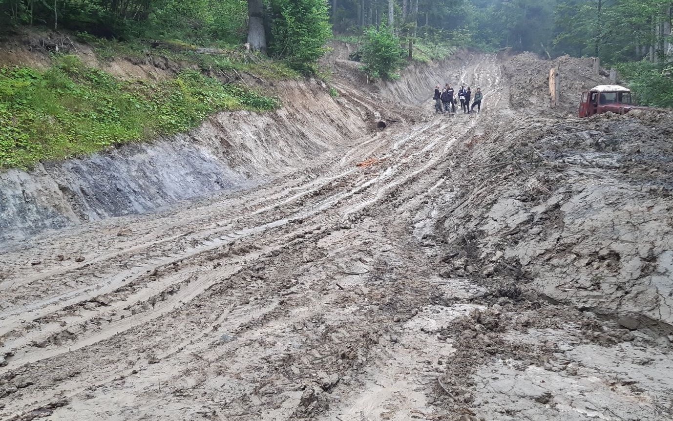 Grafika do artykułu Komitet PAN apeluje o ochronę Puszczy Karpackiej. Gospodarka Lasów Państwowych jej nie służy