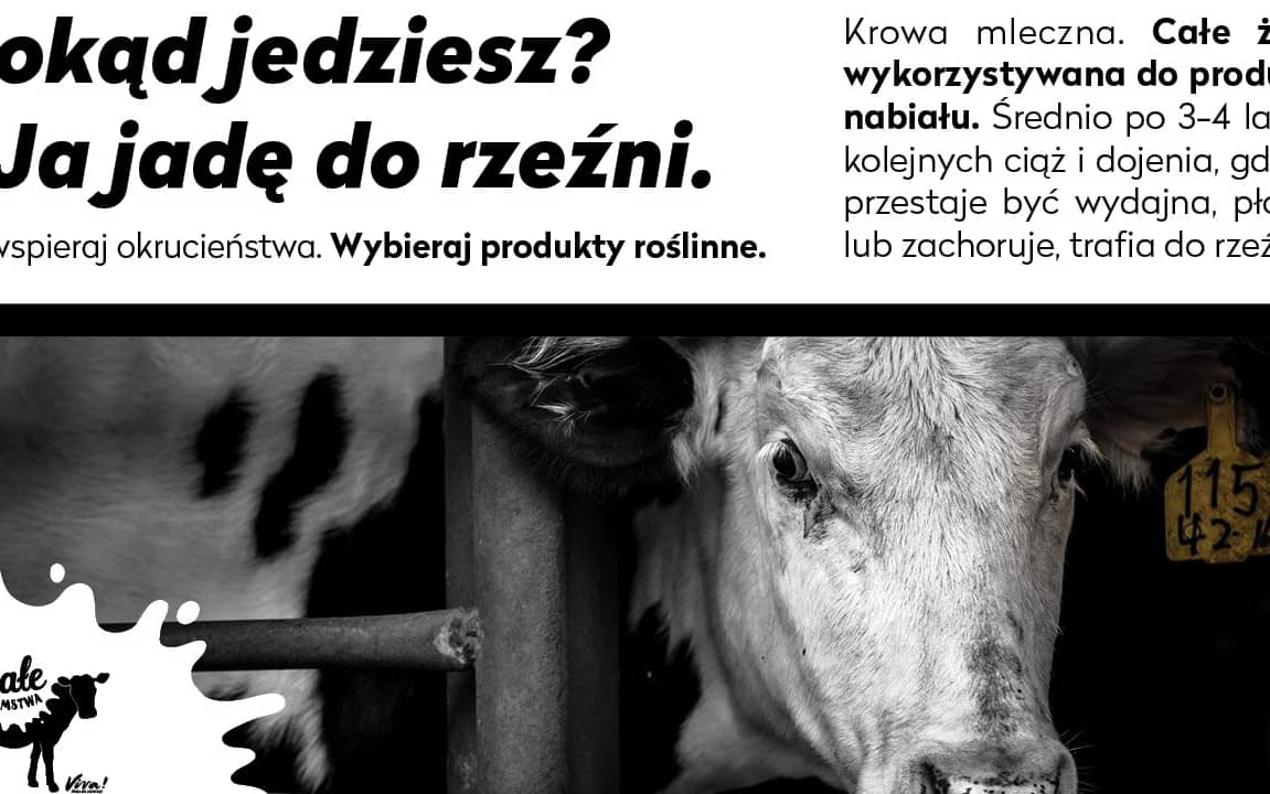 Grafika do artykułu Producenci mięsa chcą od animalsów 170 mld zł. Bo Polacy jedzą go mniej