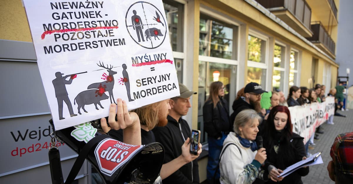 Dramat na polowaniu. Myśliwy śmiertelnie ranił kolegę