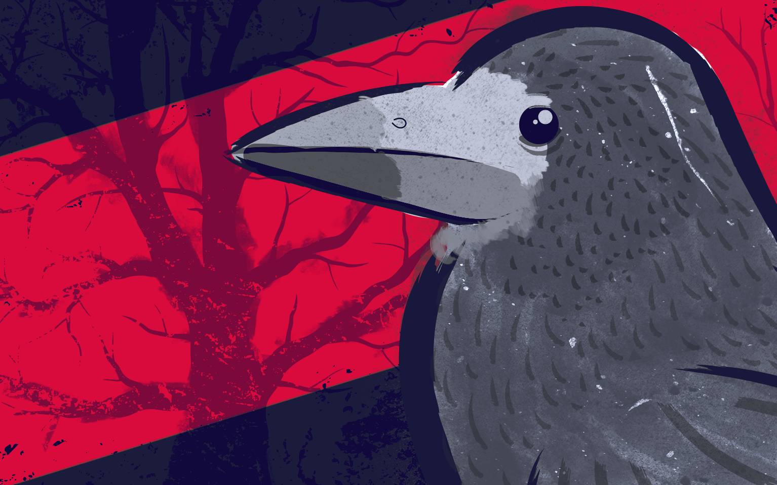 Grafika do artykułu Zagrożony wyginięciem nawet gawron. Jest nowa "Czerwona lista ptaków Polski"