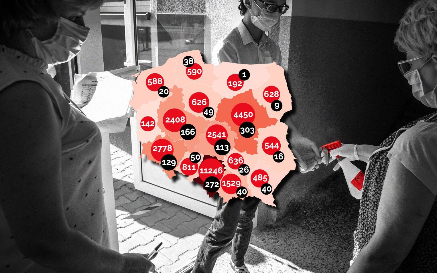 Grafika do artykułu Koronawirus na świecie: jedna zła wiadomość i trzy bardzo dobre. Także dla Polski! [WYKRESY, FAKTY]