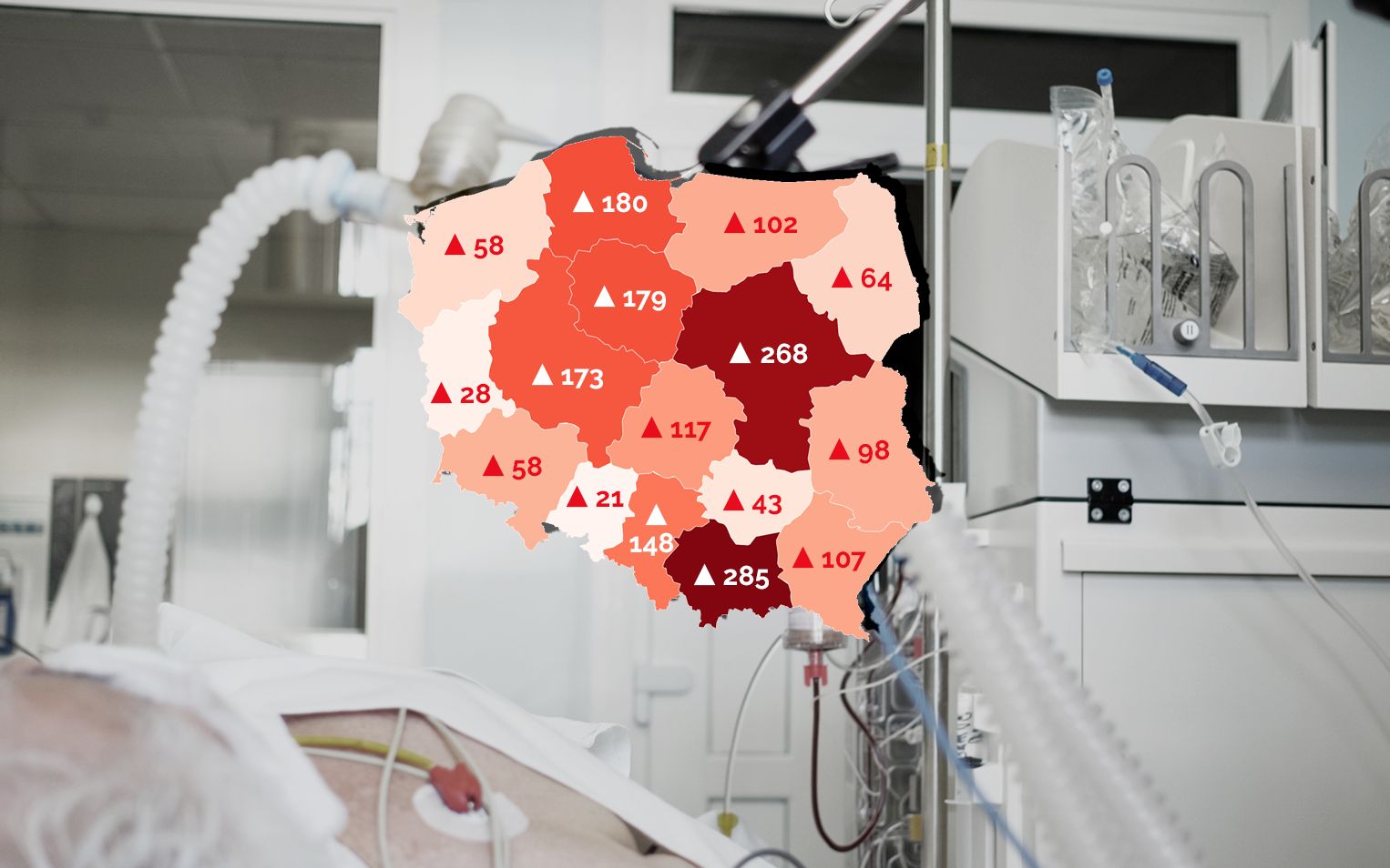 Grafika do artykułu Rekord zakażeń. Ale gorszy jest wzrost liczby ciężko chorych na COVID: w tydzień o 75 proc.