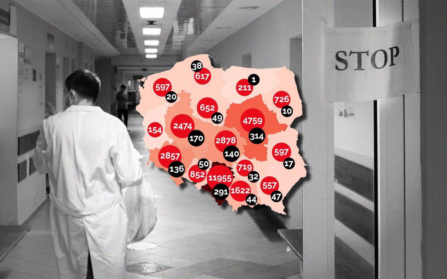 Grafika do artykułu Chaos z maseczkami. RPO do Szumowskiego: "Wysiłek społeczeństwa może iść na marne" [RAPORT]