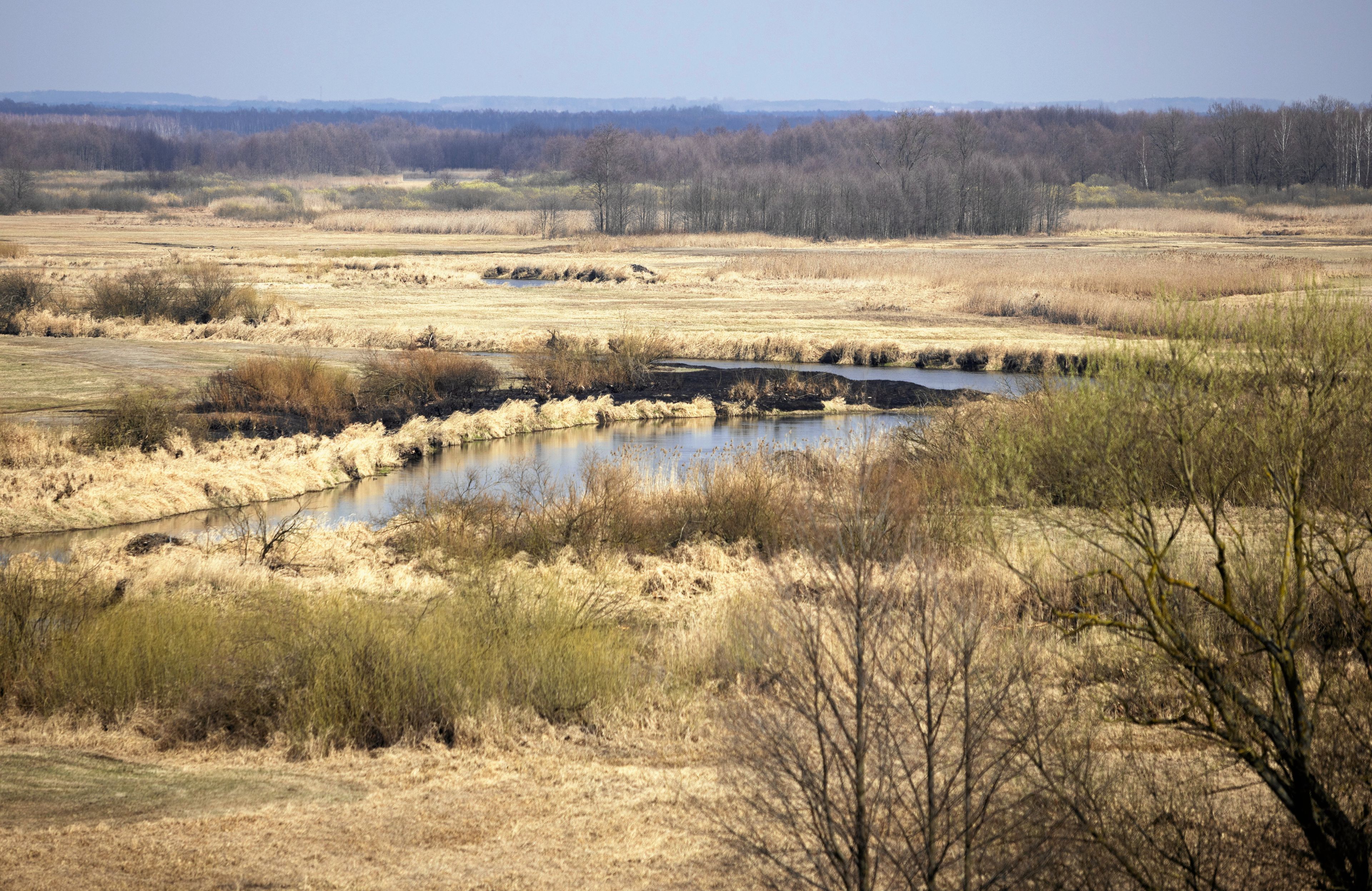 Biebrzanski Park Narodowy