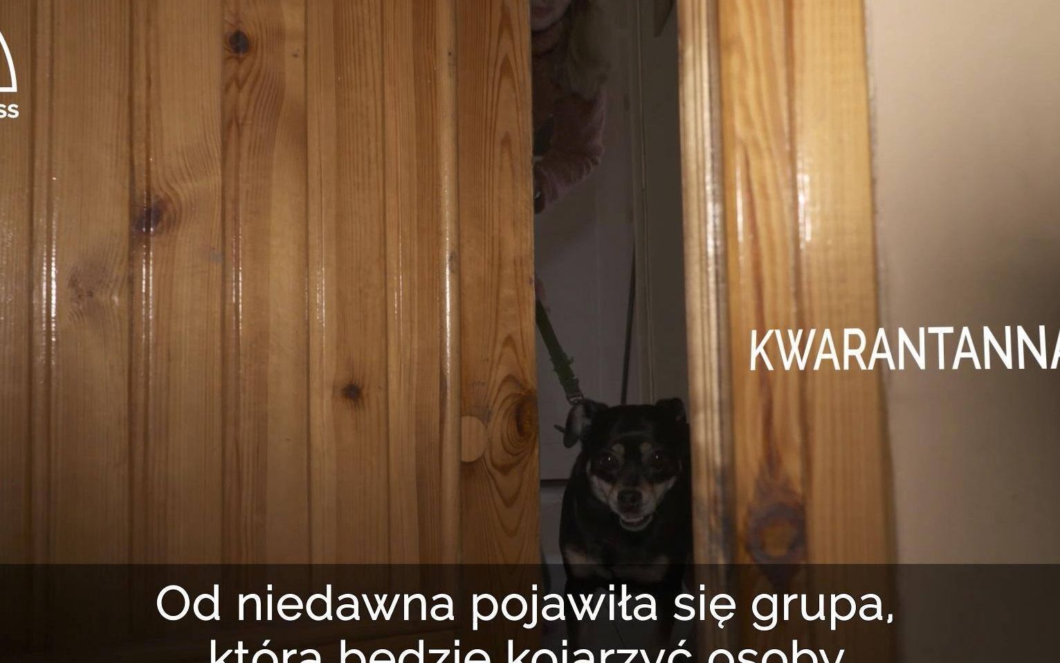 Grafika do artykułu O psie, który pędził do domu… na kwarantannę. OKO.press towarzyszy wolontariuszom Widzialnej Ręki