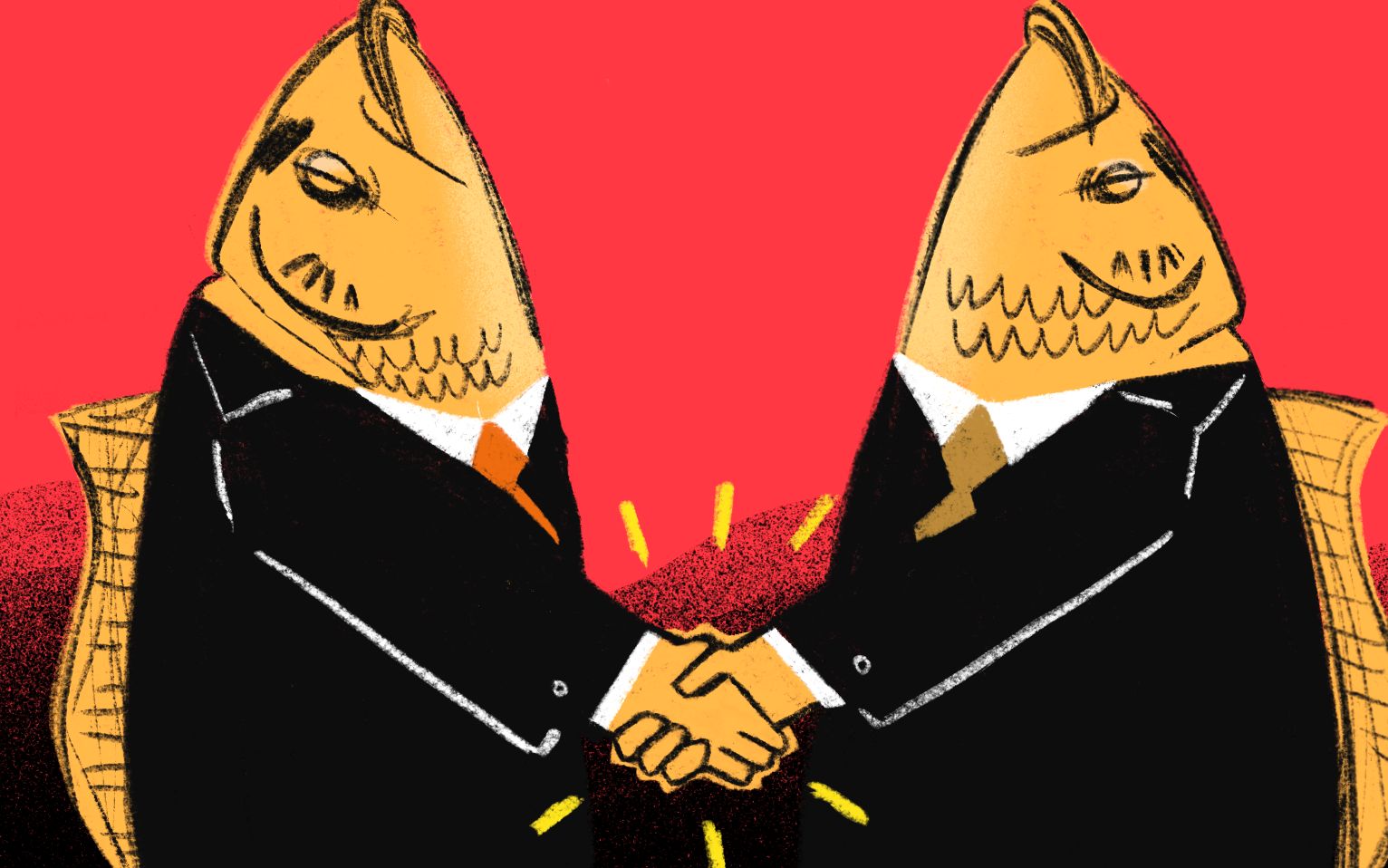 Grafika do artykułu "Czy on rozróżnia karpia od leszcza?". Politolog z Solidarnej Polski szefem Gospodarstwa Rybackiego