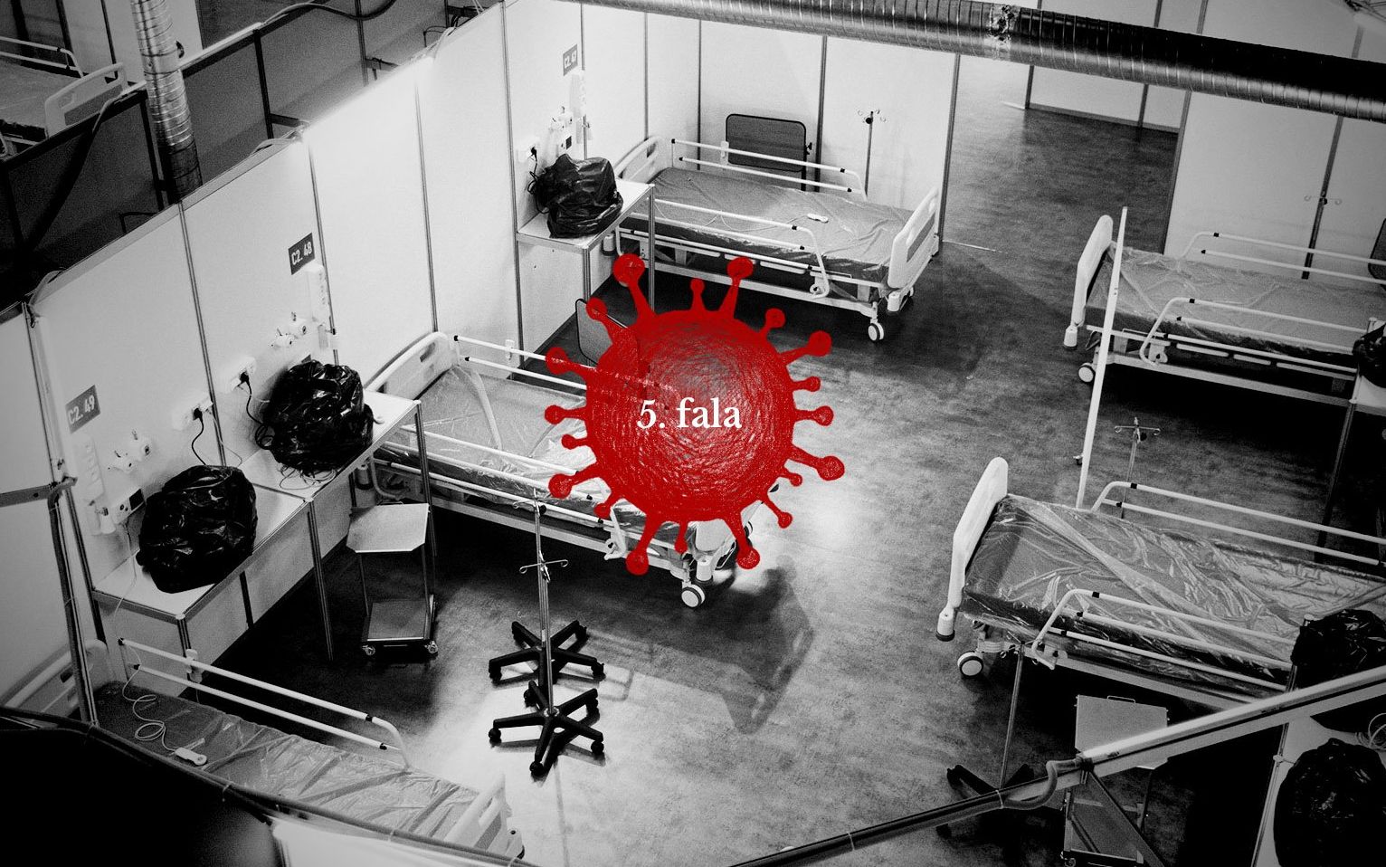 Grafika do artykułu Fala omikrona dalej wyhamowuje, spadki już w 5 województwach. Mniej chorych pod respiratorem