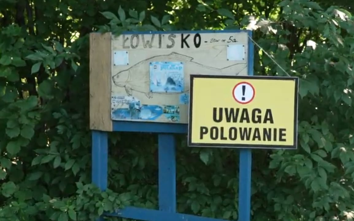 Grafika do artykułu Protestowała podczas polowania, myśliwi idą do prokuratury. “Nie mogę patrzeć, jak ktoś zabija zwierzęta”