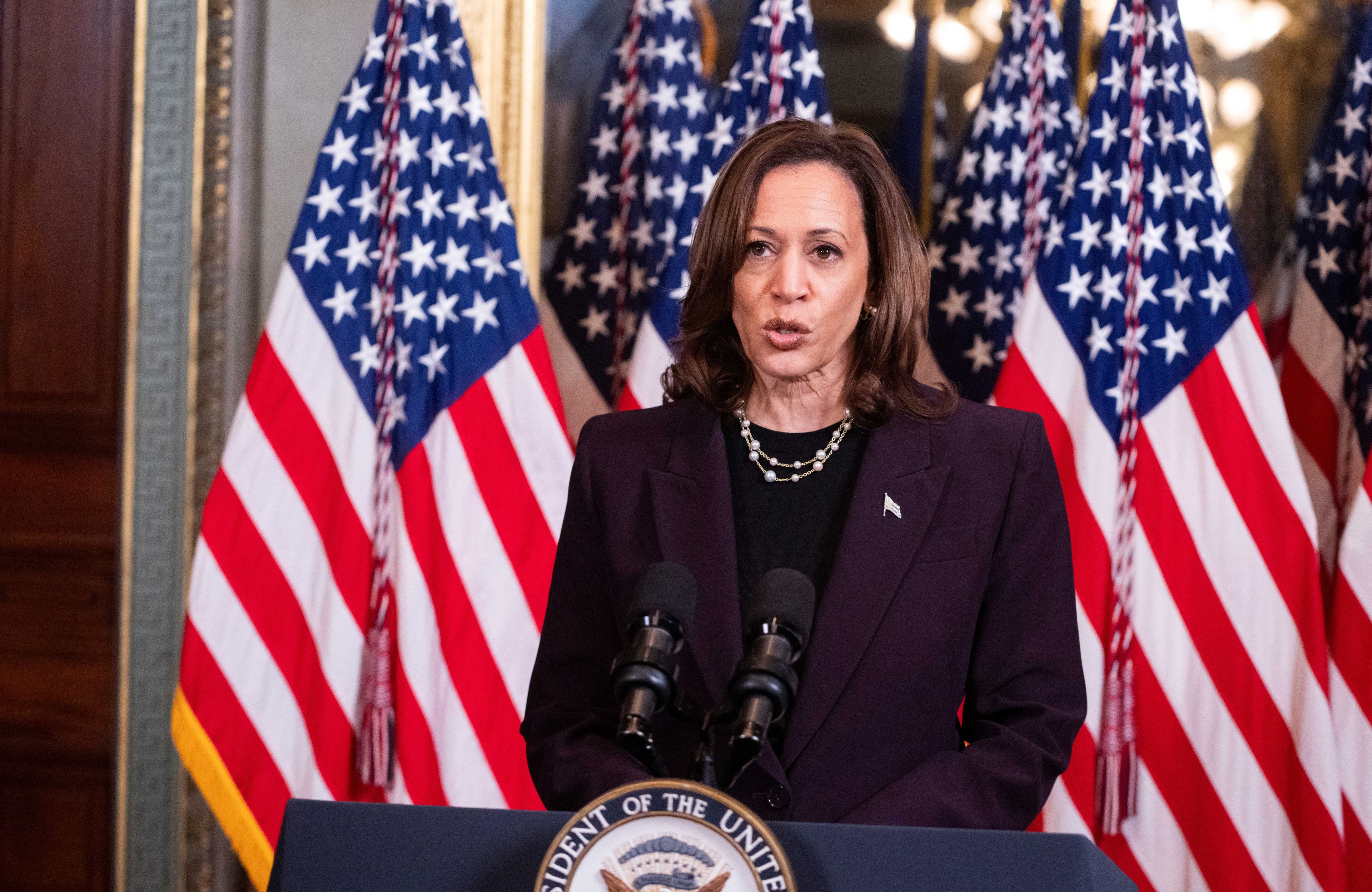 Kamala Harris podczas konferencji prasowej na tle amerykańskich flag