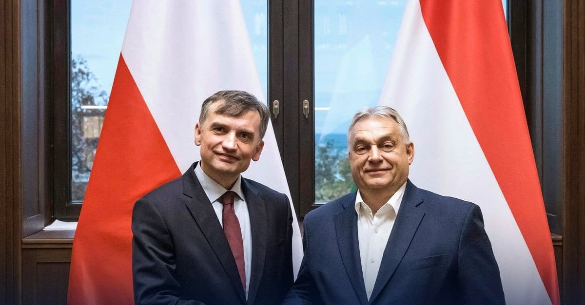 Ujawniamy polsko-węgierską sieć. A w niej Piebiak, neo-sędziowie SN, Czarnek i były wiceprezes TK