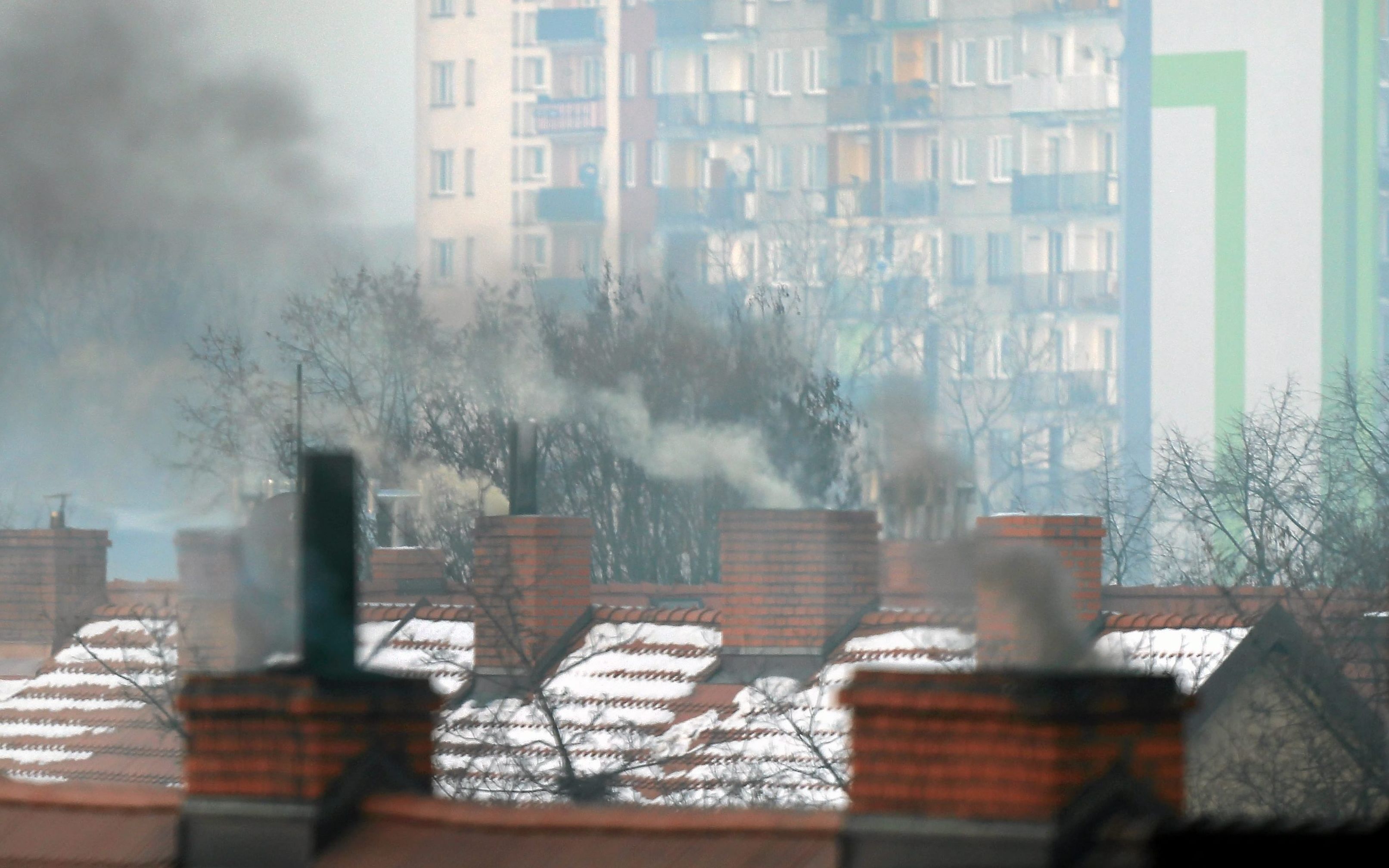 Grafika do artykułu Dziś lepiej nie oddychać. A politycy nie mają pomysłów na smog. Sprawdziliśmy