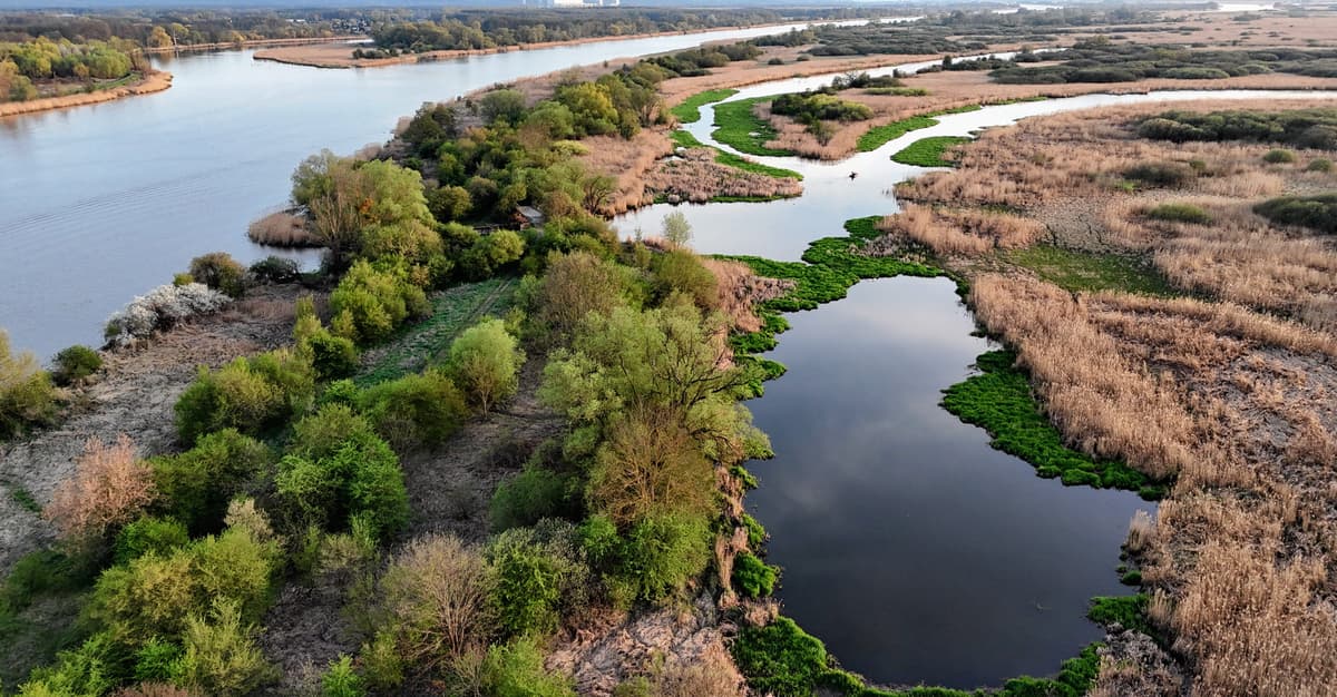 Festiwal kłamstw wokół Parku Narodowego Doliny Dolnej Odry. PiS straszy zakazem żeglugi