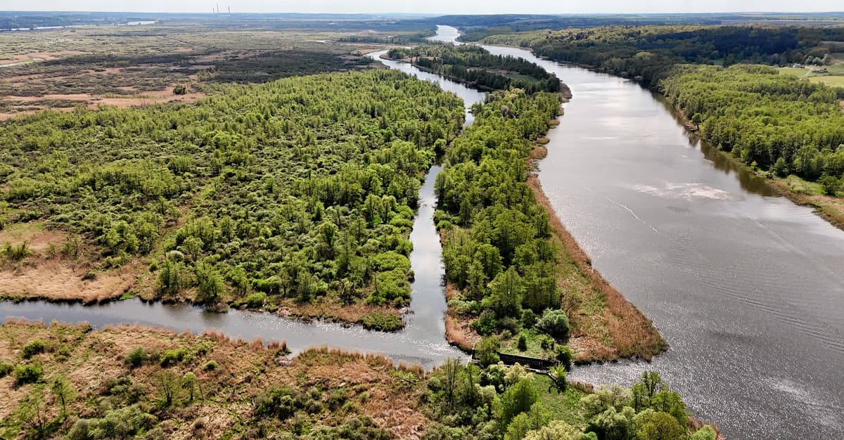 Park Narodowy Doliny Dolnej Odry może powstać jeszcze w tym roku. Ustawą zajmie się Sejm