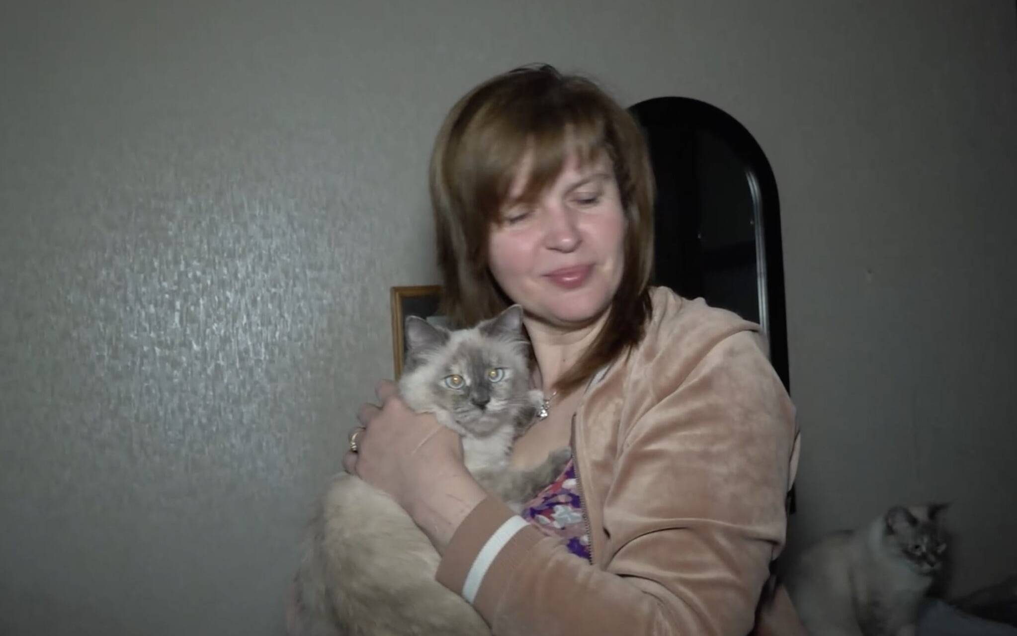 Grafika do artykułu „Mam spokojną duszę" - reportaż o Tatianie Widomenko z Charkowa, która  uratowała setki kotów