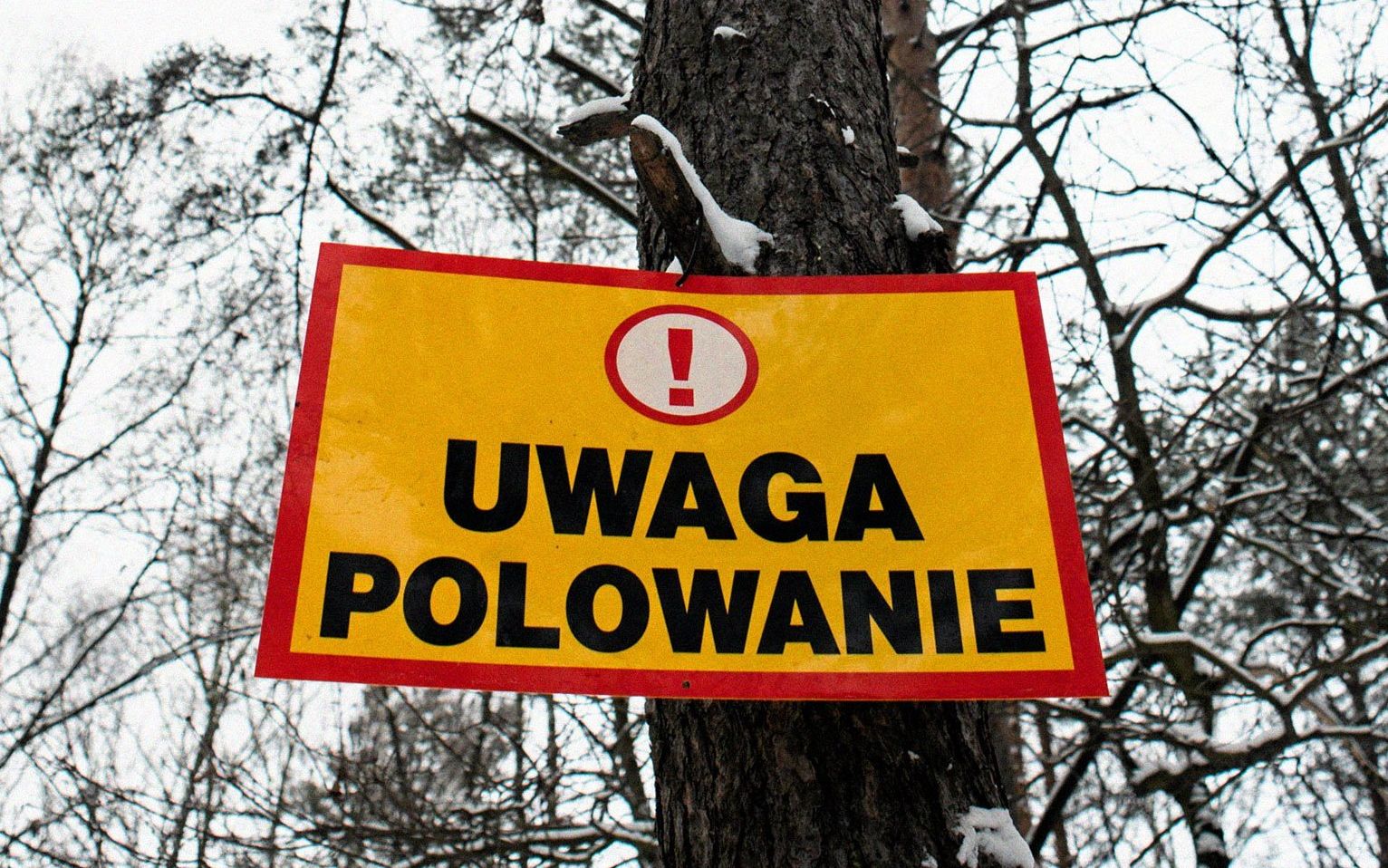 Grafika do artykułu Cios dla Polskiego Związku Łowieckiego. Myśliwy: "ASF będzie się rozprzestrzeniał dzięki nam". Oto prawda o walce z chorobą