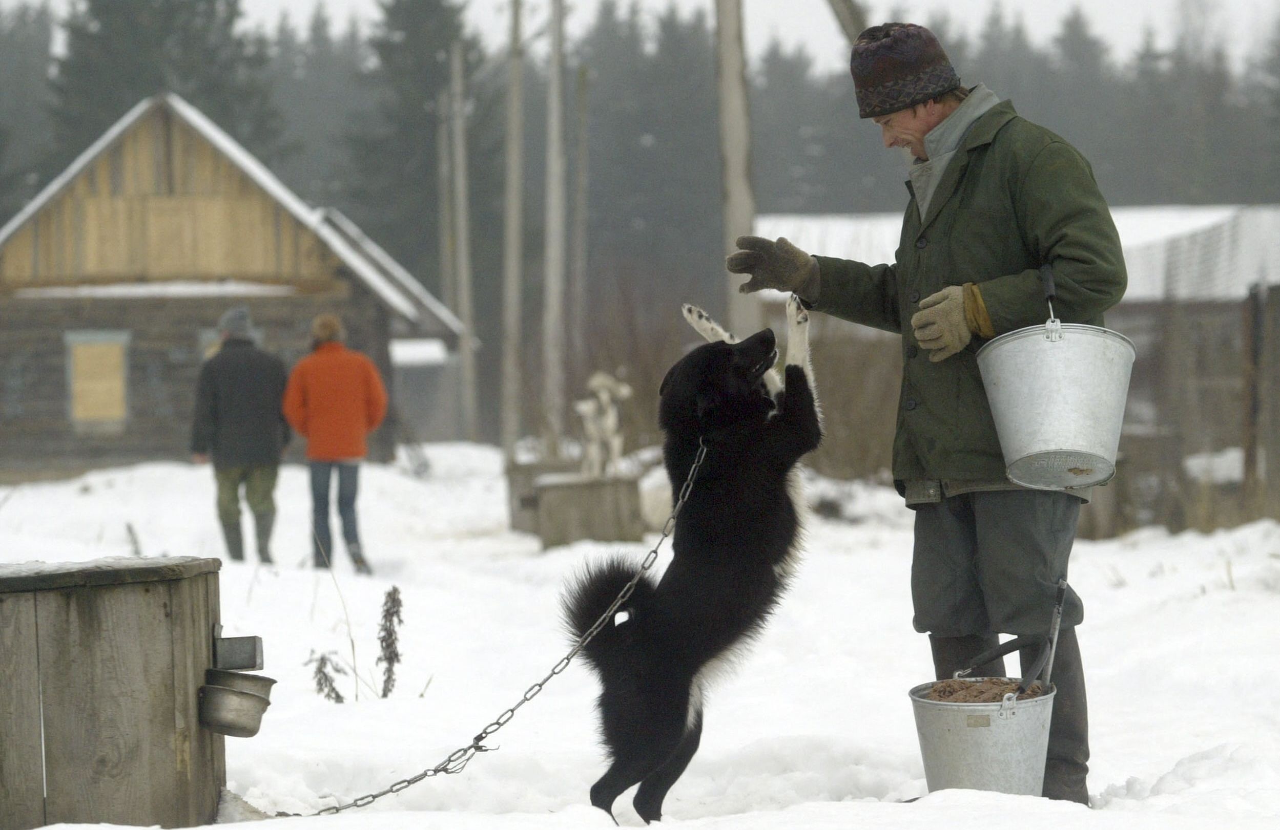 BELARUS-DAILY-LIFE-DOGS